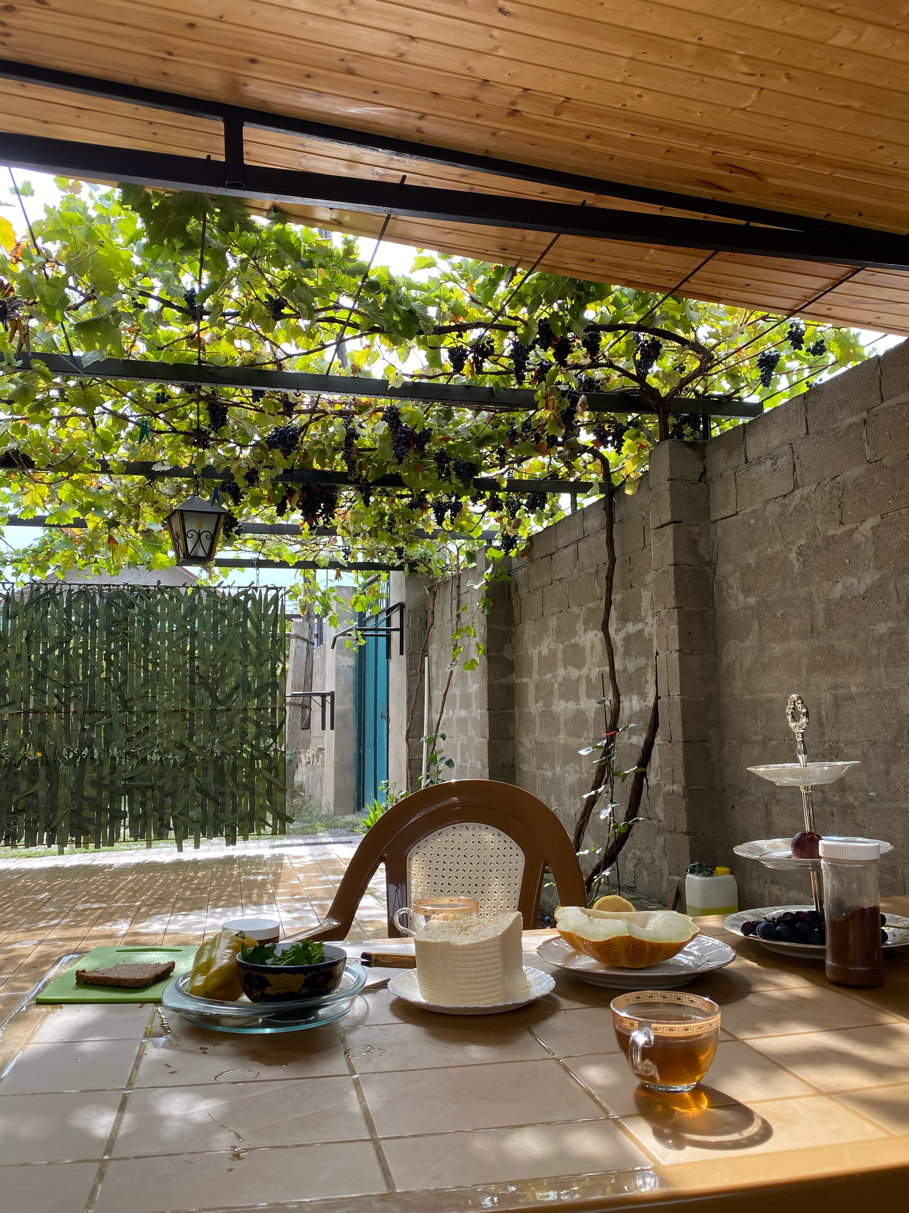 Фото Самурская Жемчужина