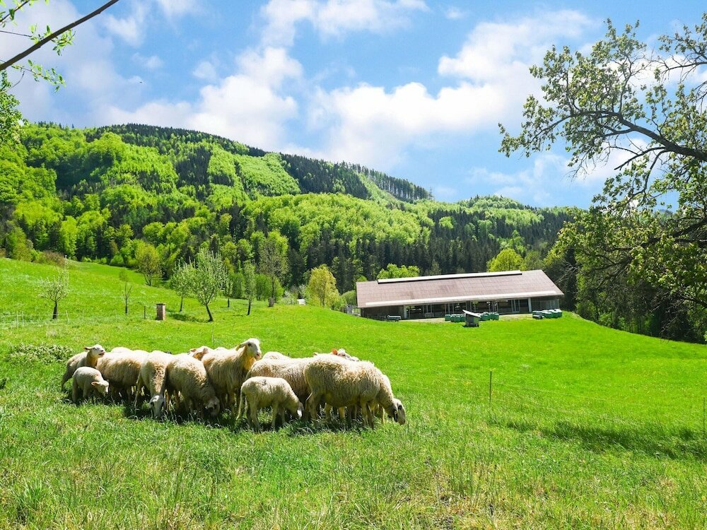 Фото Loft-like Apartment in Scheibbs With Swimming Pond