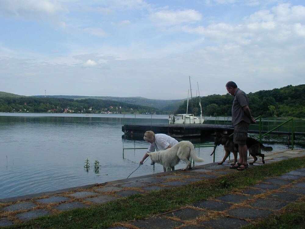 Фото Müllers Ferienhaus Waldhof