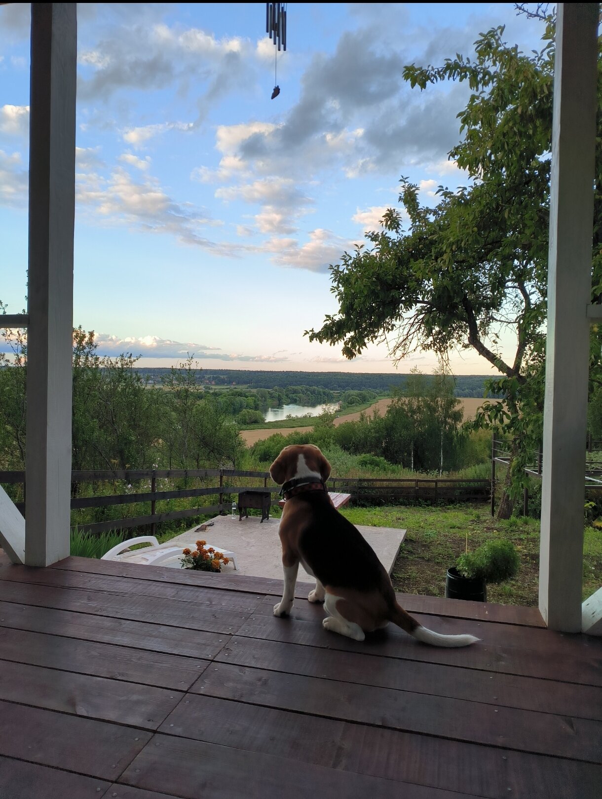 Фото ДомСорок