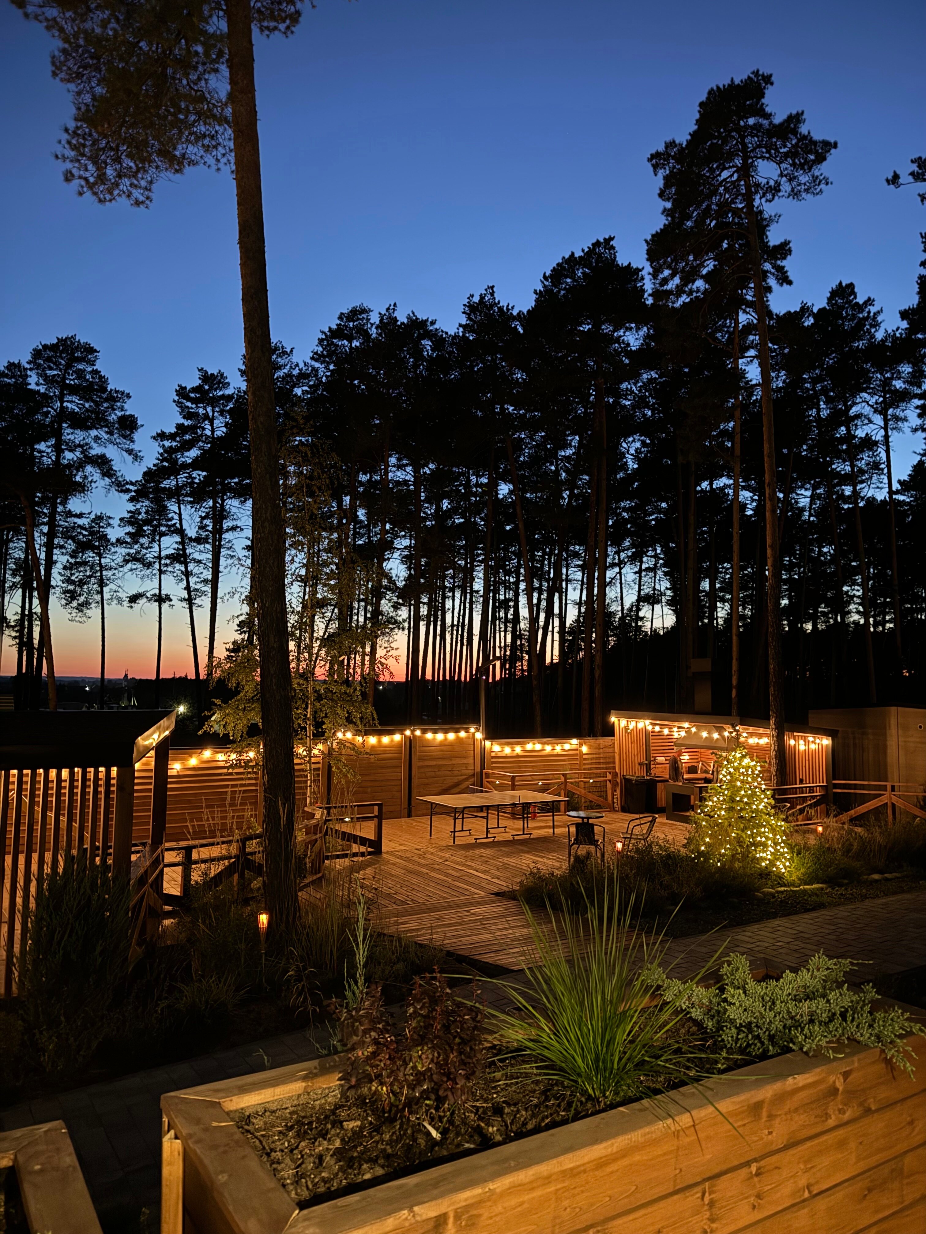 Фото Янтарь