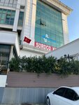 Özdamla Sürücü Kursu (Istanbul, Basaksehir, Ikitelli OSB Neighborhood, Enkoop Avenue, 2) ، مدرسة لتعليم القيادة