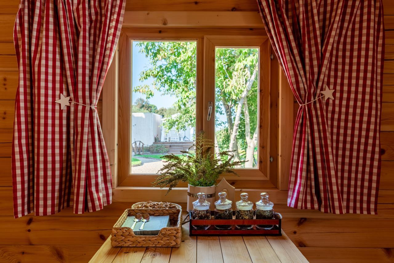 Фото Снегирь