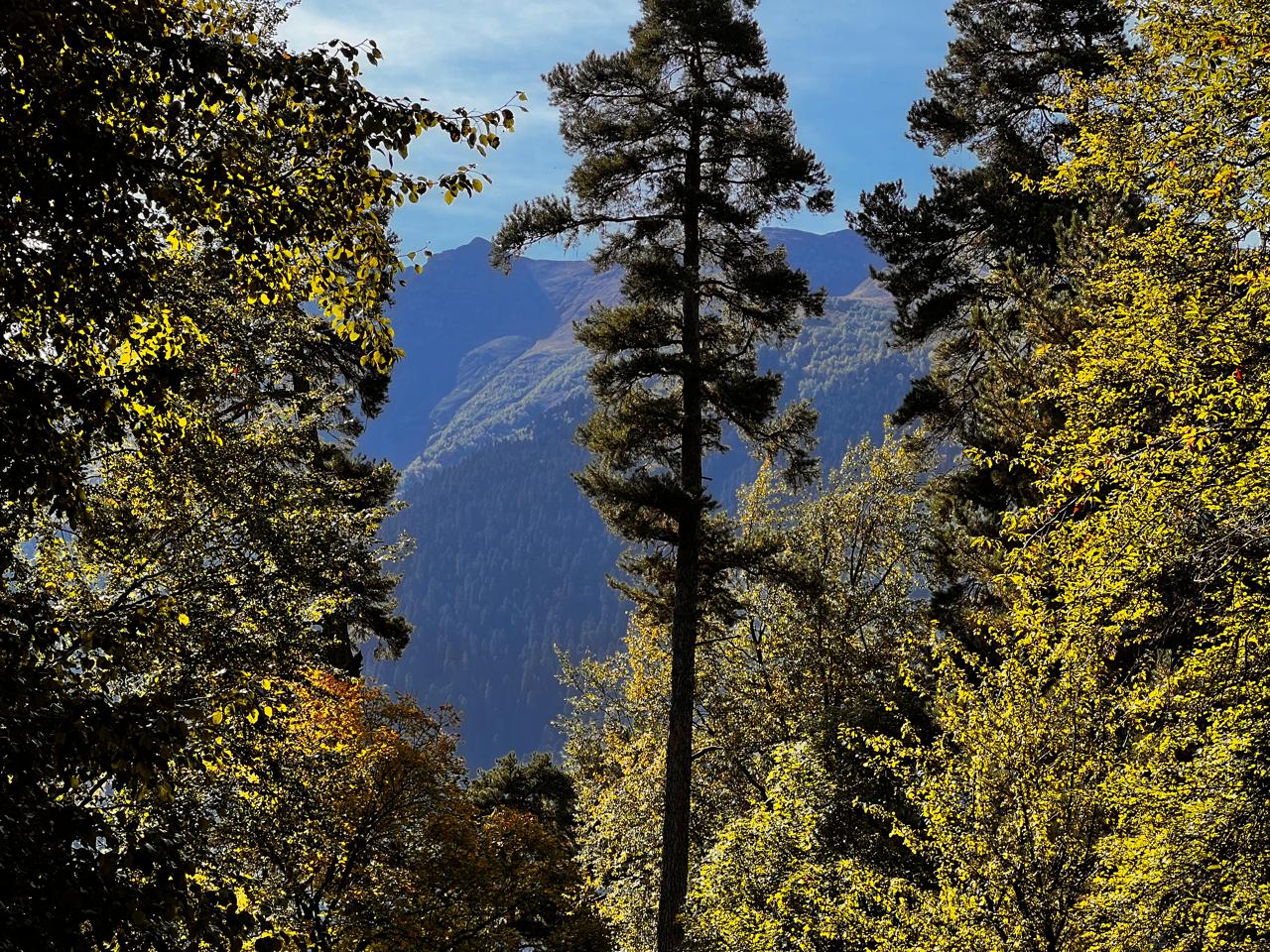 Фото Азгард