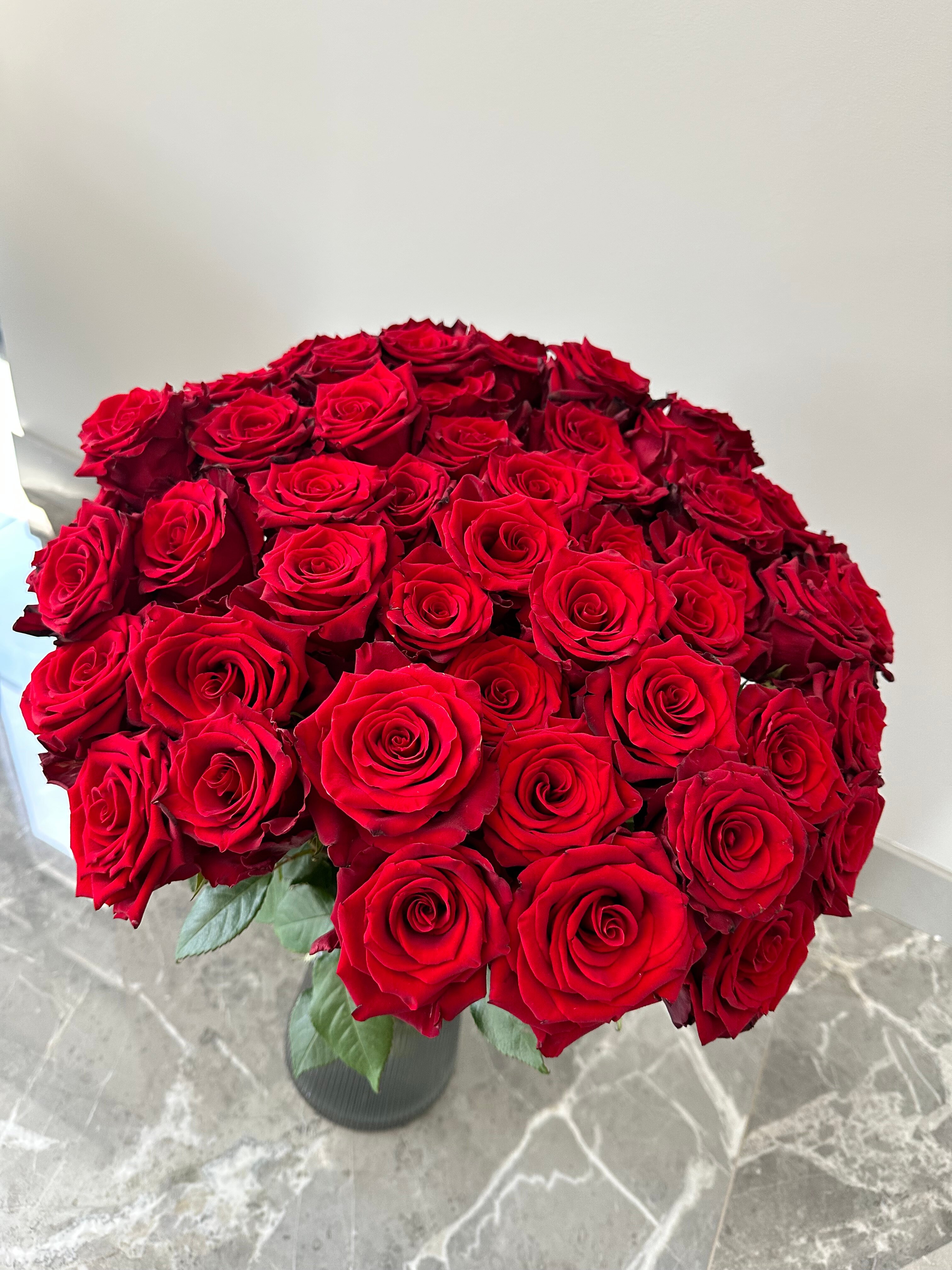 Фото Две оливы