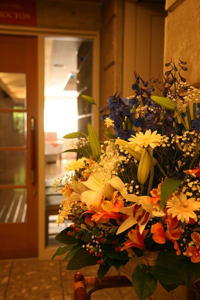 Фото Hotel Stelle Belle