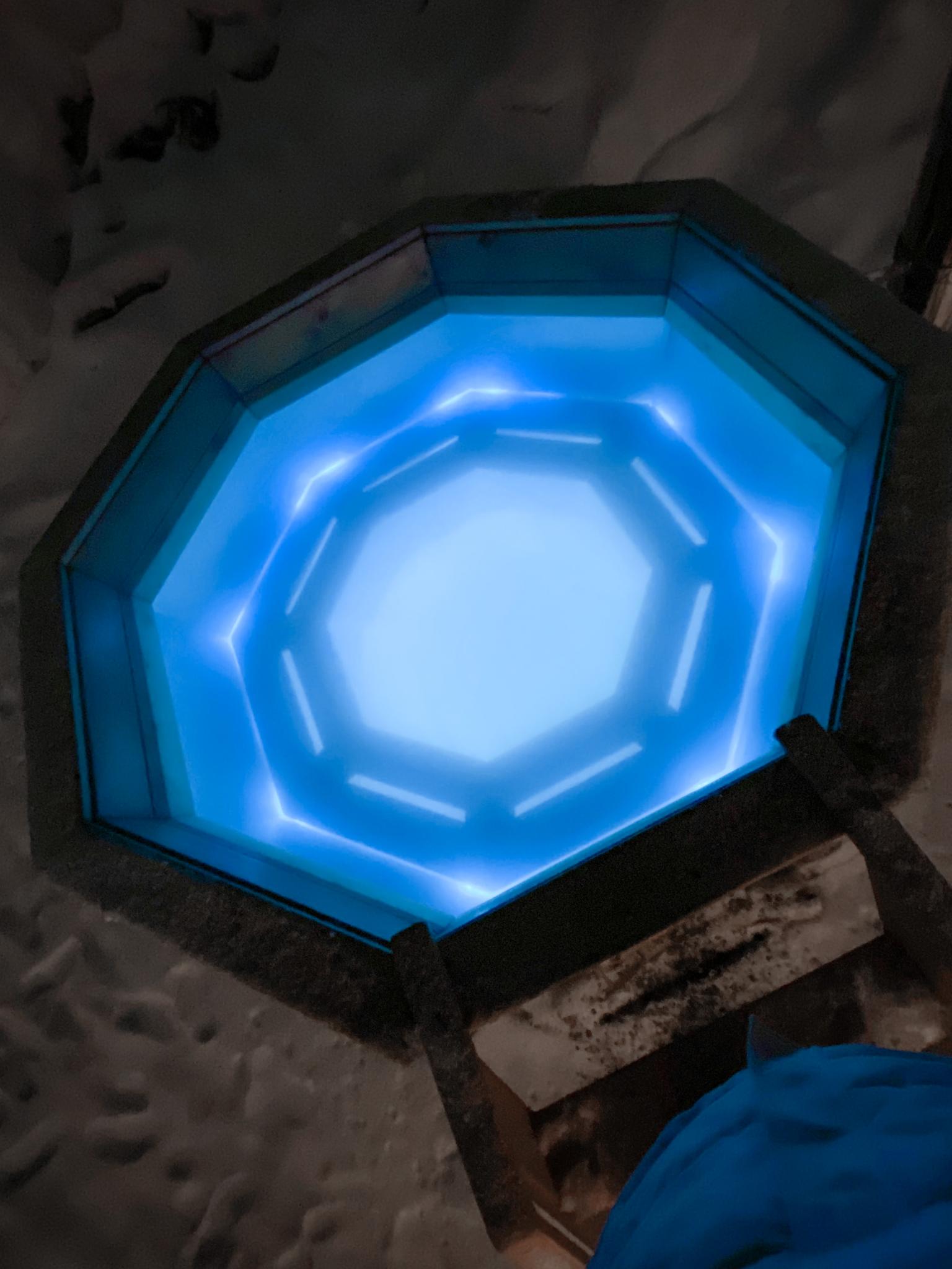 Фото Брусника № 1