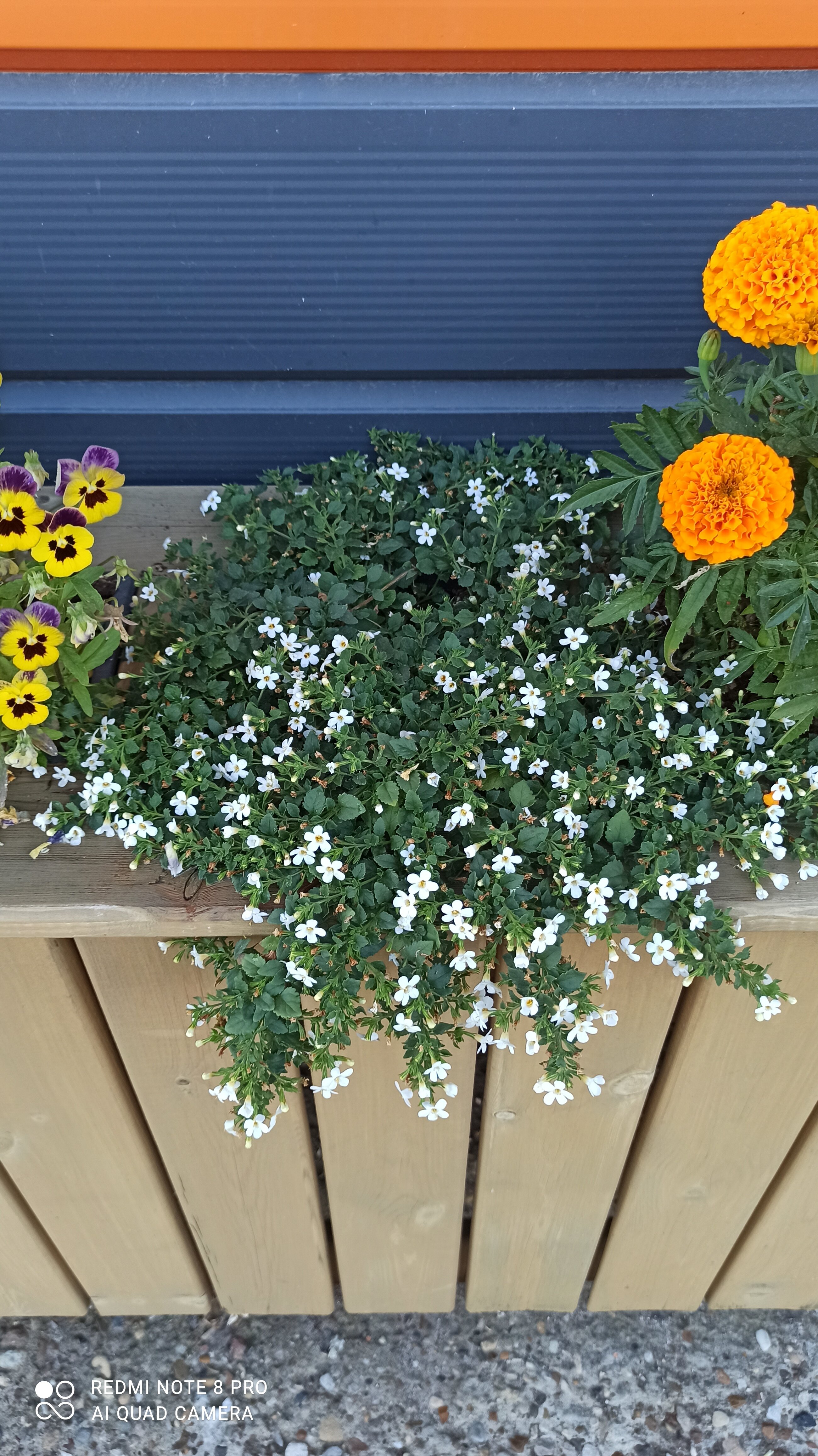 Фото Вятский дворик