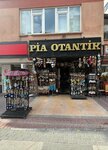 Пиа Отантик (провинция Анкара, район Чанкая, улица Туналы Хильми), магазин подарков и сувениров в Анкаре