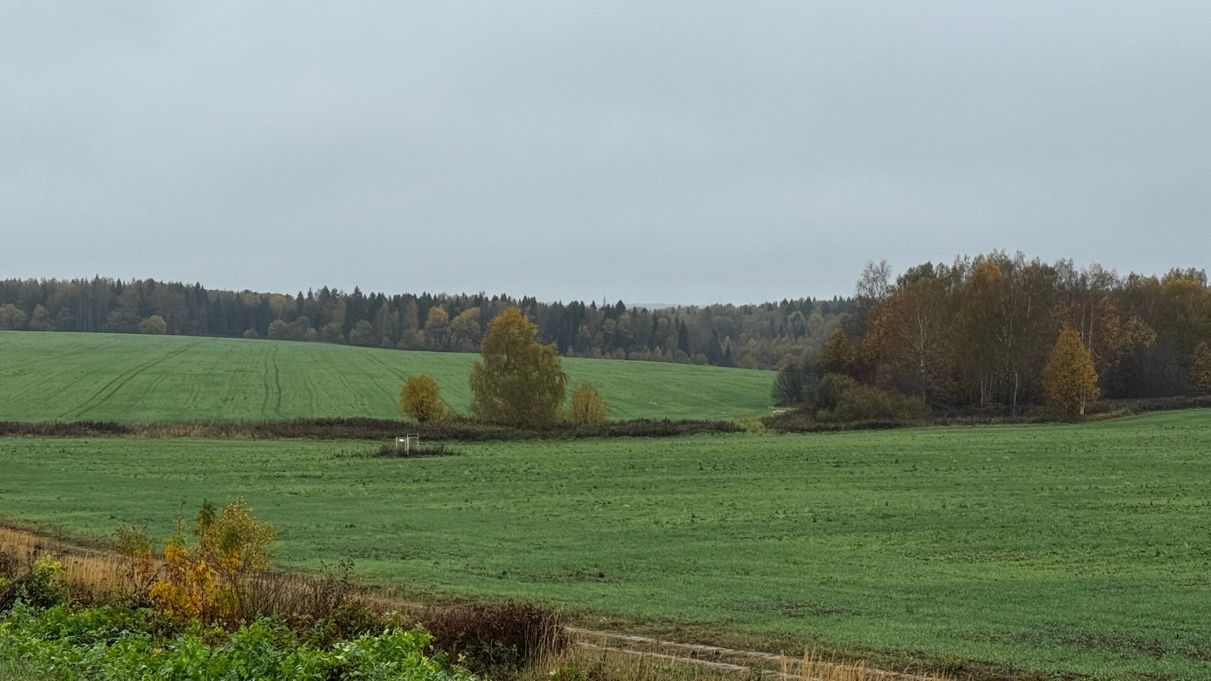 Фото Hidden Plyos