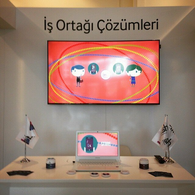 Software companies Blesh, Istanbul, photo