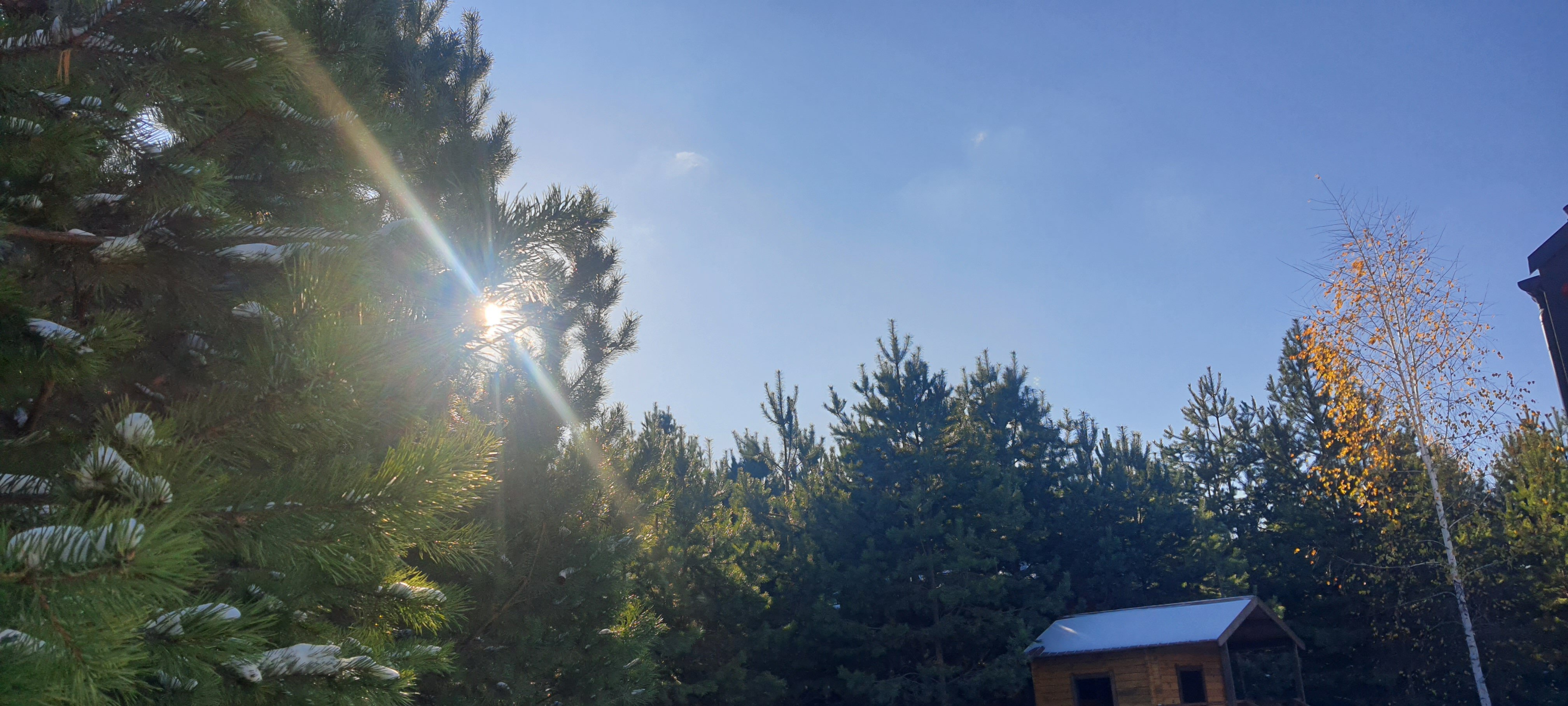 Фото Barn u lesa