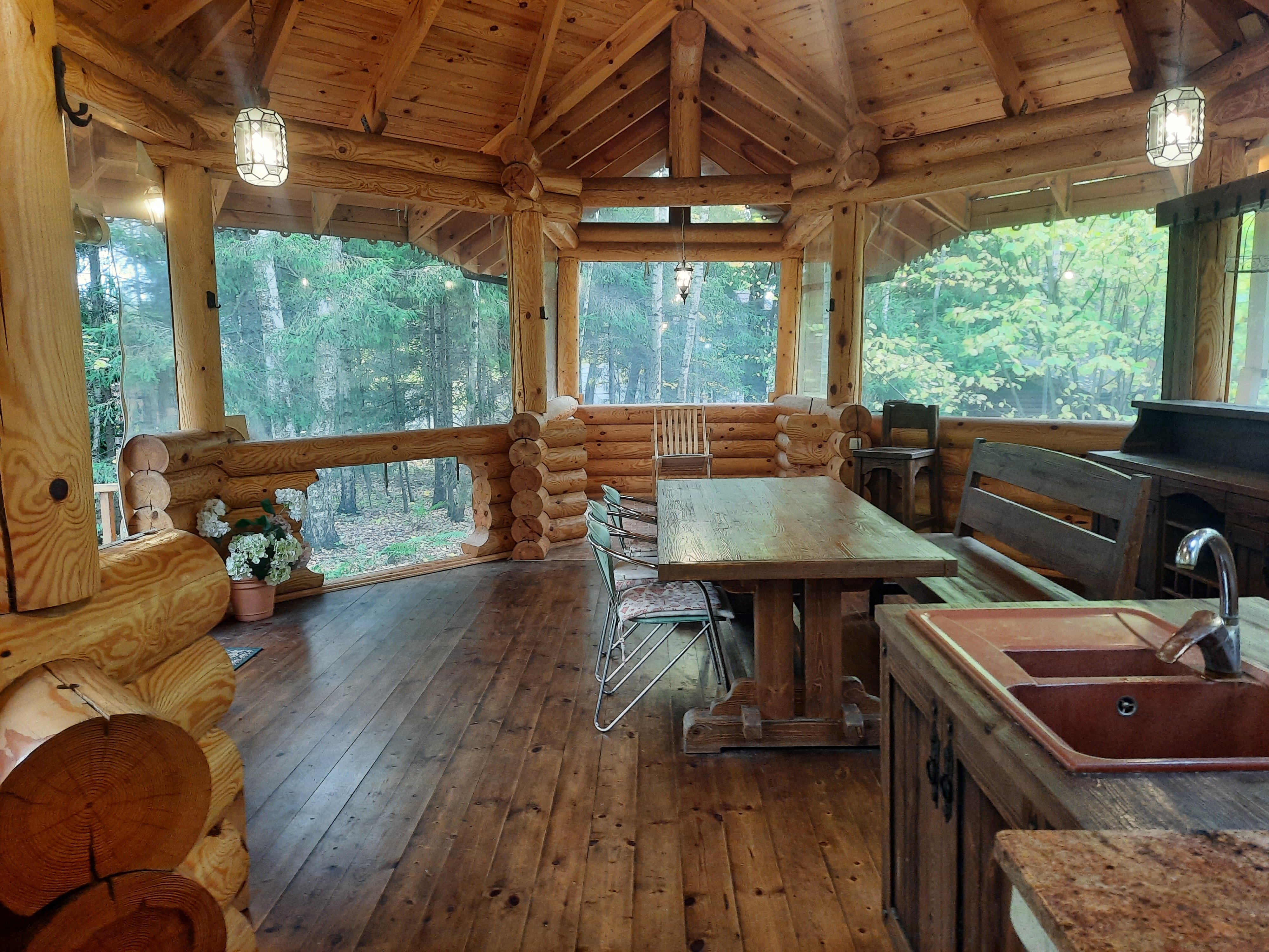 Фото Дикий Лис