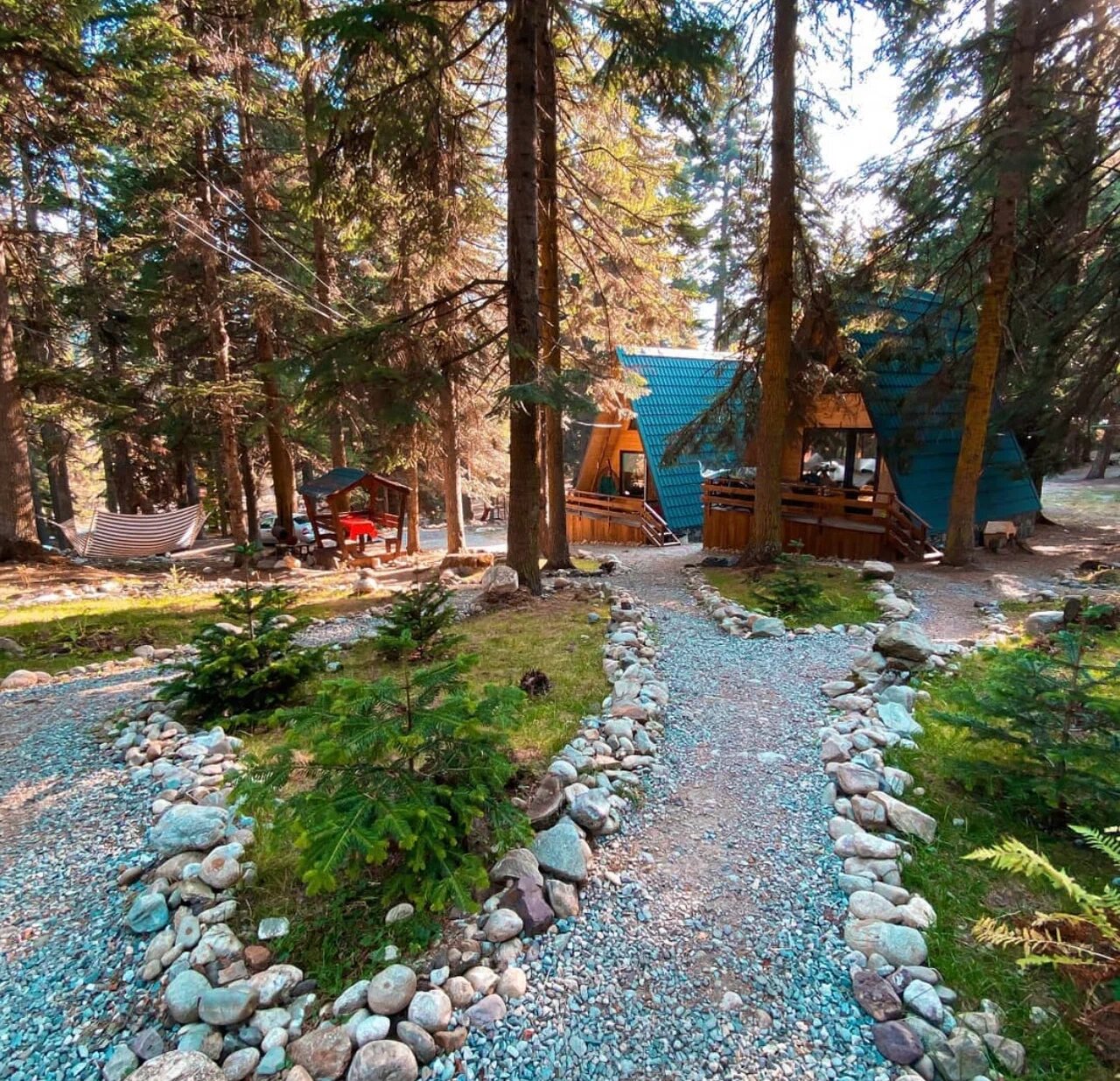 Фото Ёлки House