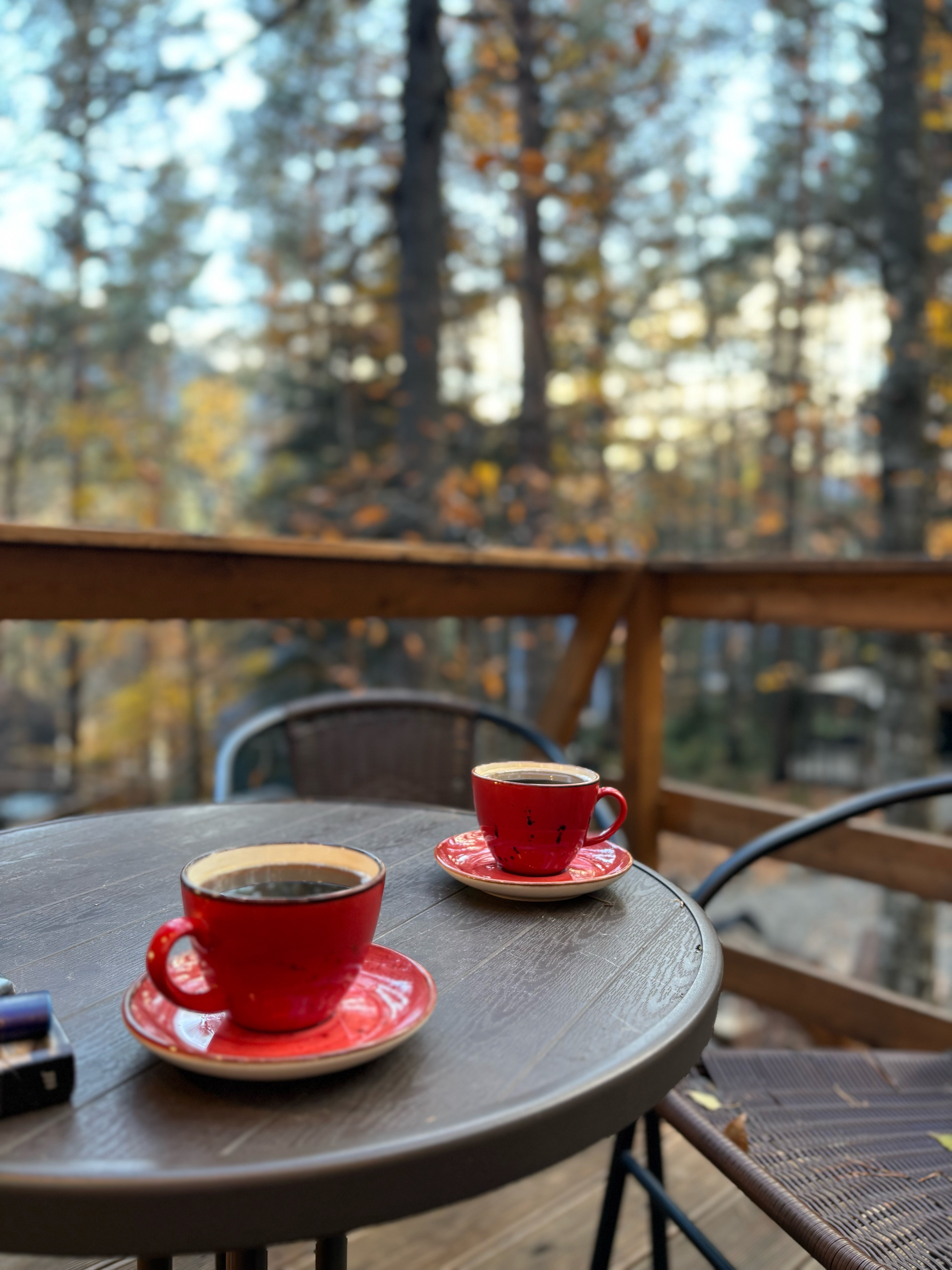 Фото Отель Пушкин