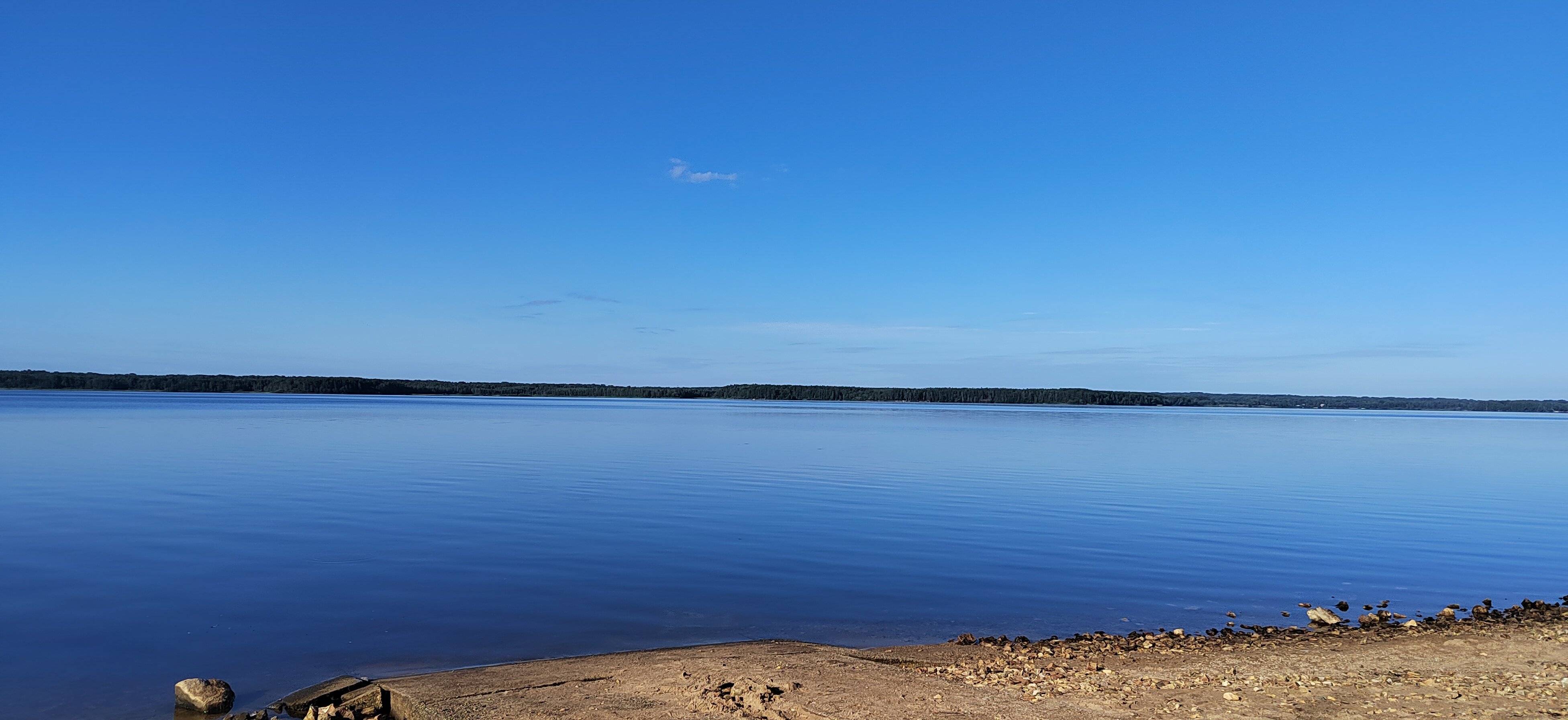 Фото Можжевеловый бор