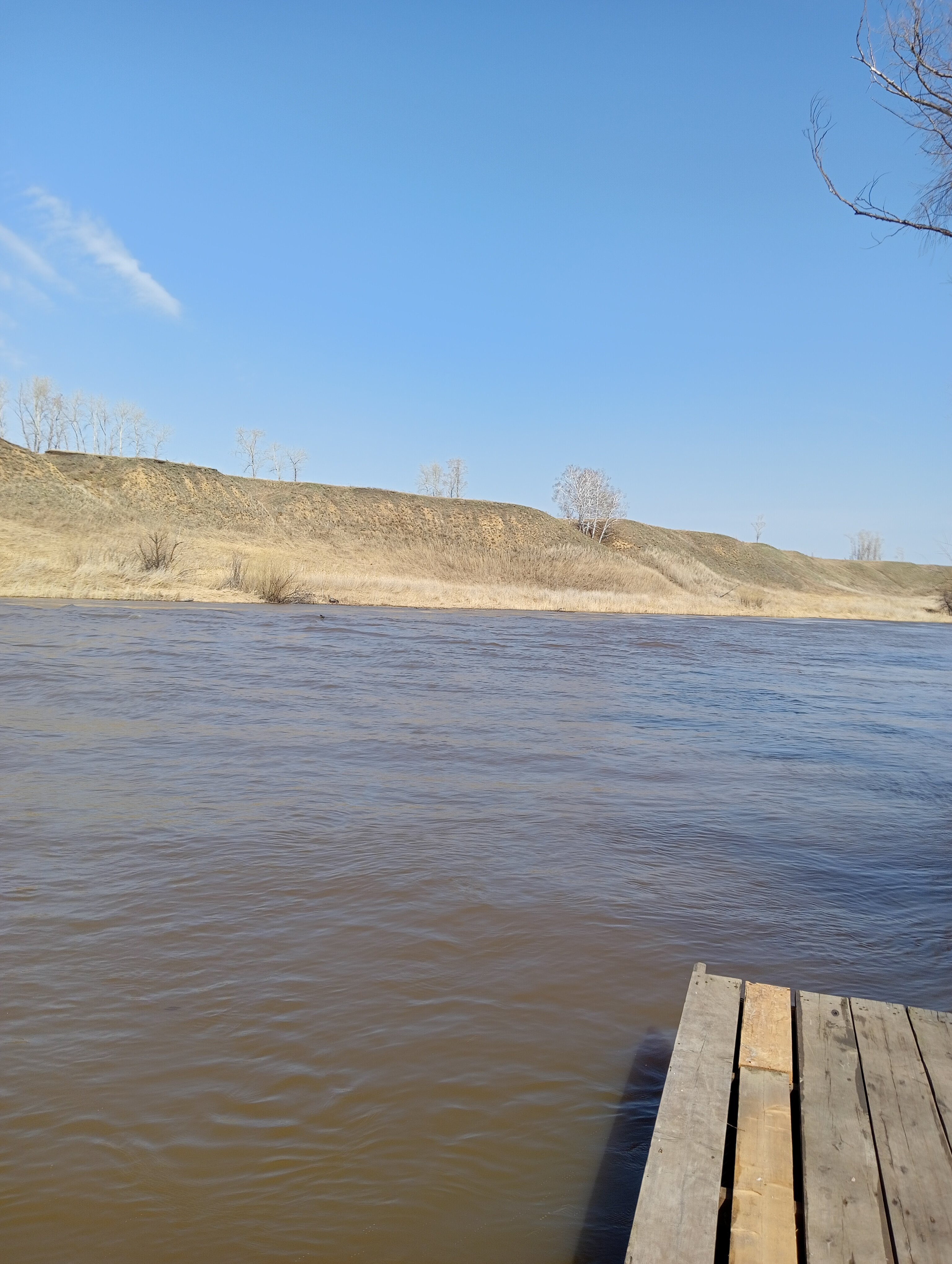 Фото Зотино