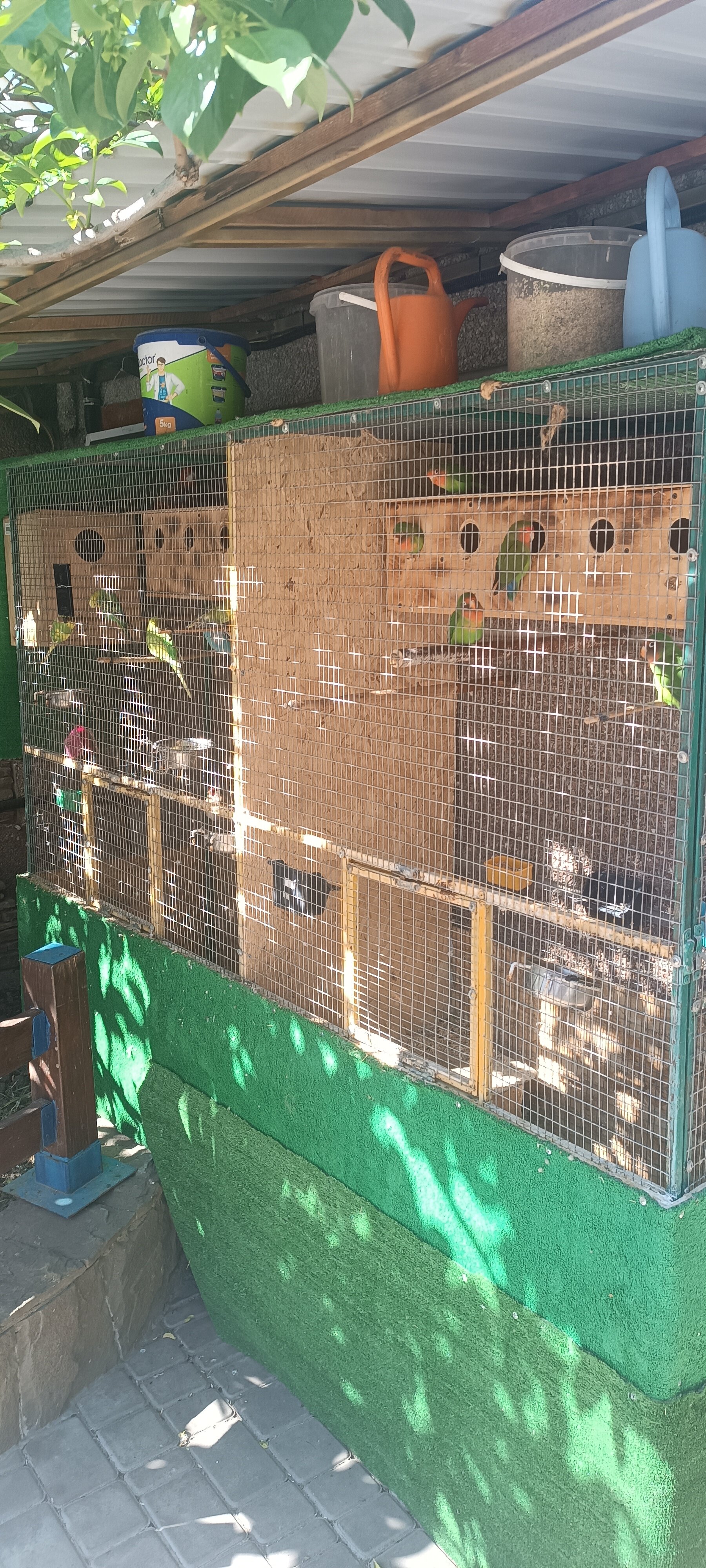 Фото Консульский дворик