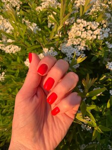 Студия маникюра и педикюра Say My Nails (Белорусская ул., 5, Одинцово), ногтевая студия в Одинцово