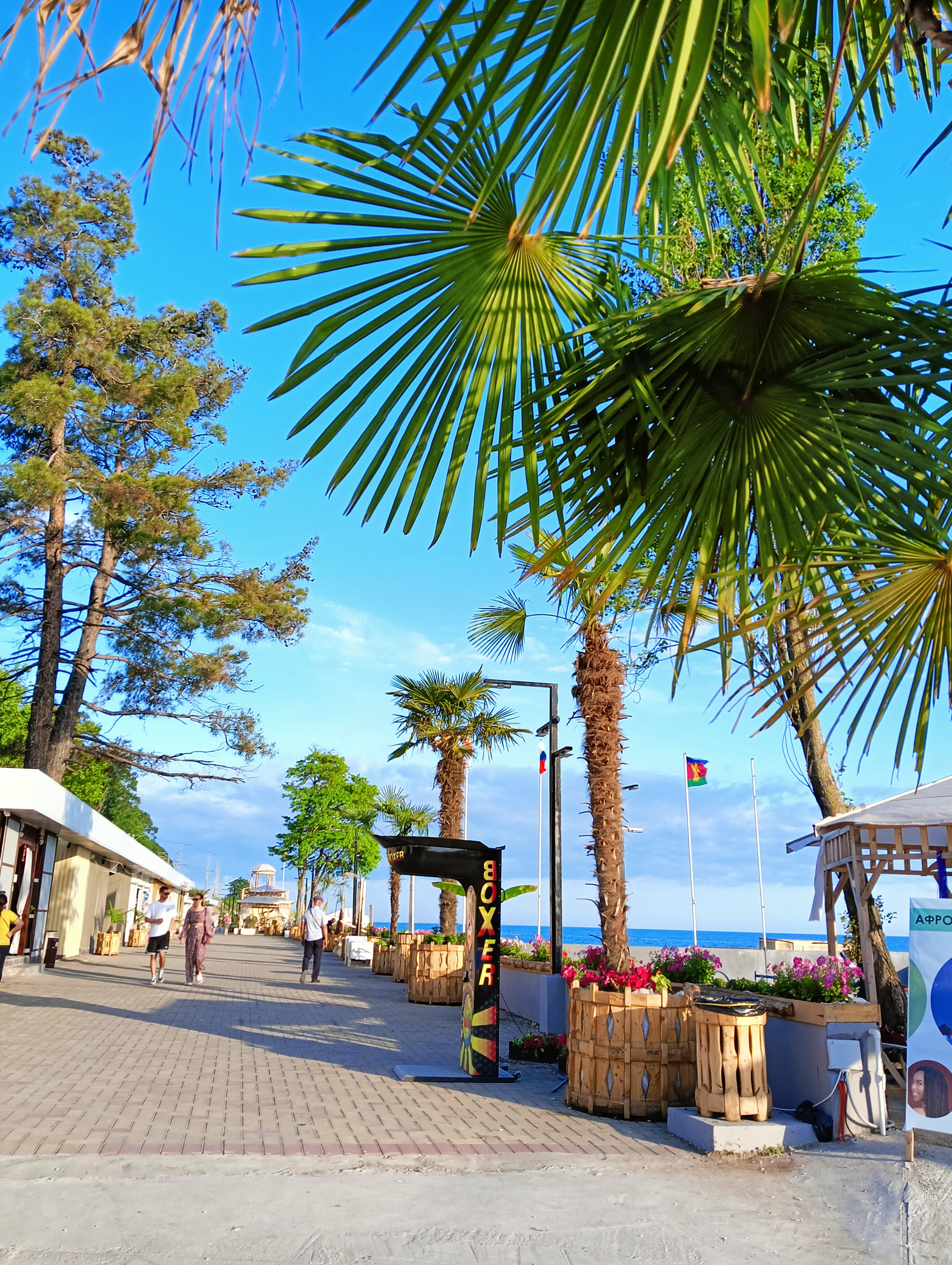 Фото Солнечное Вардане