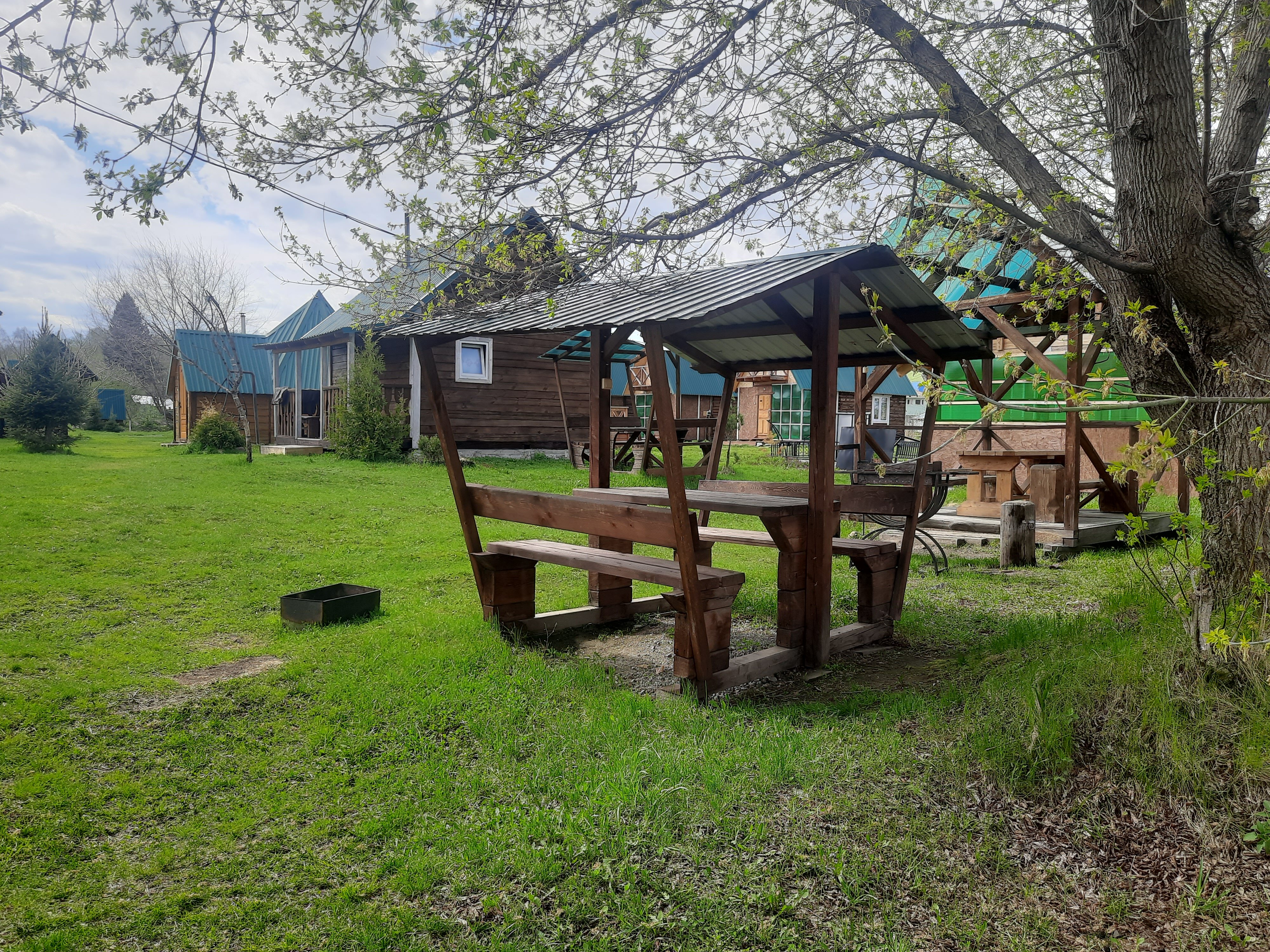 Фото Три Клёна