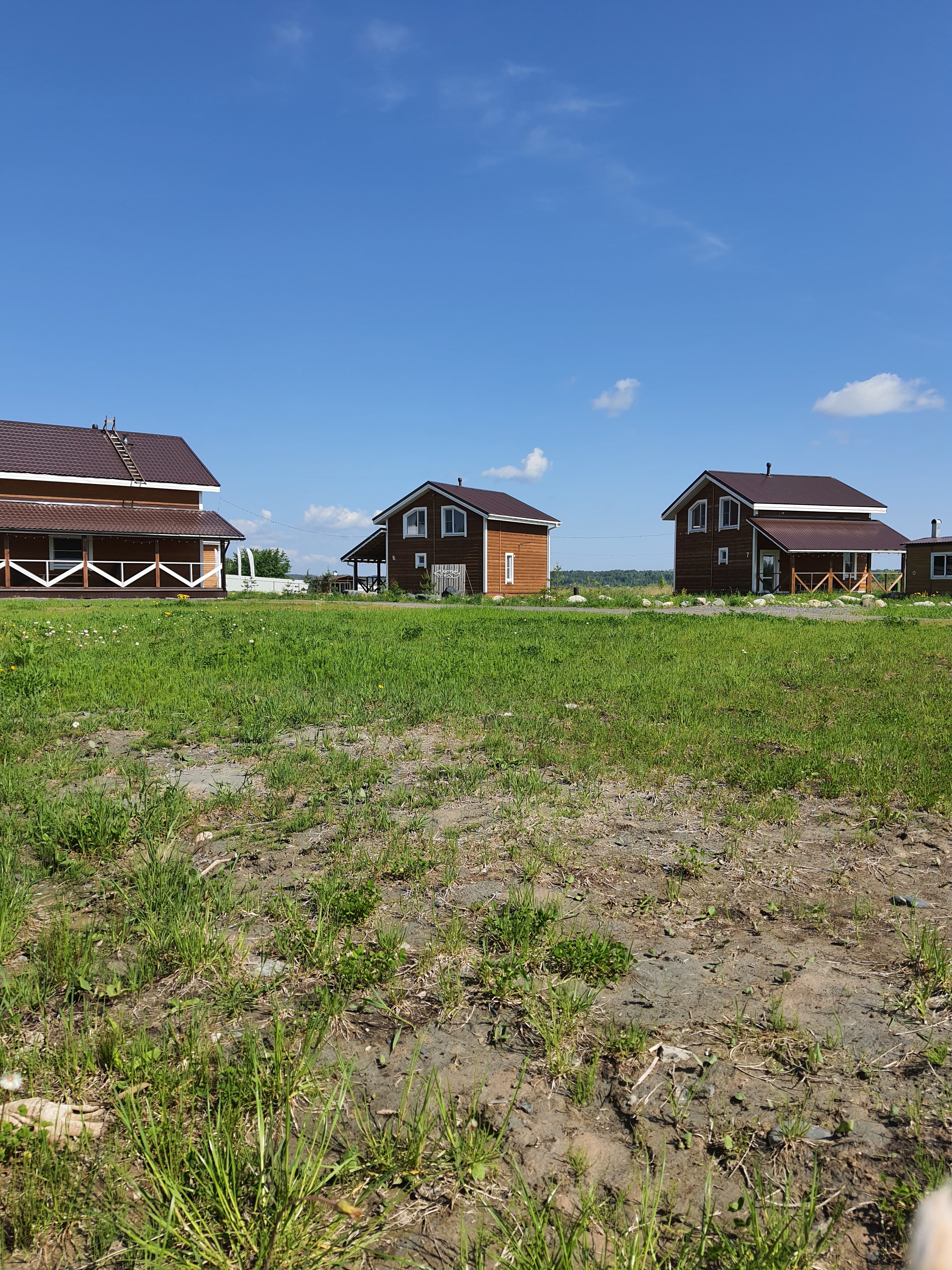 Фото Хитрый Лис