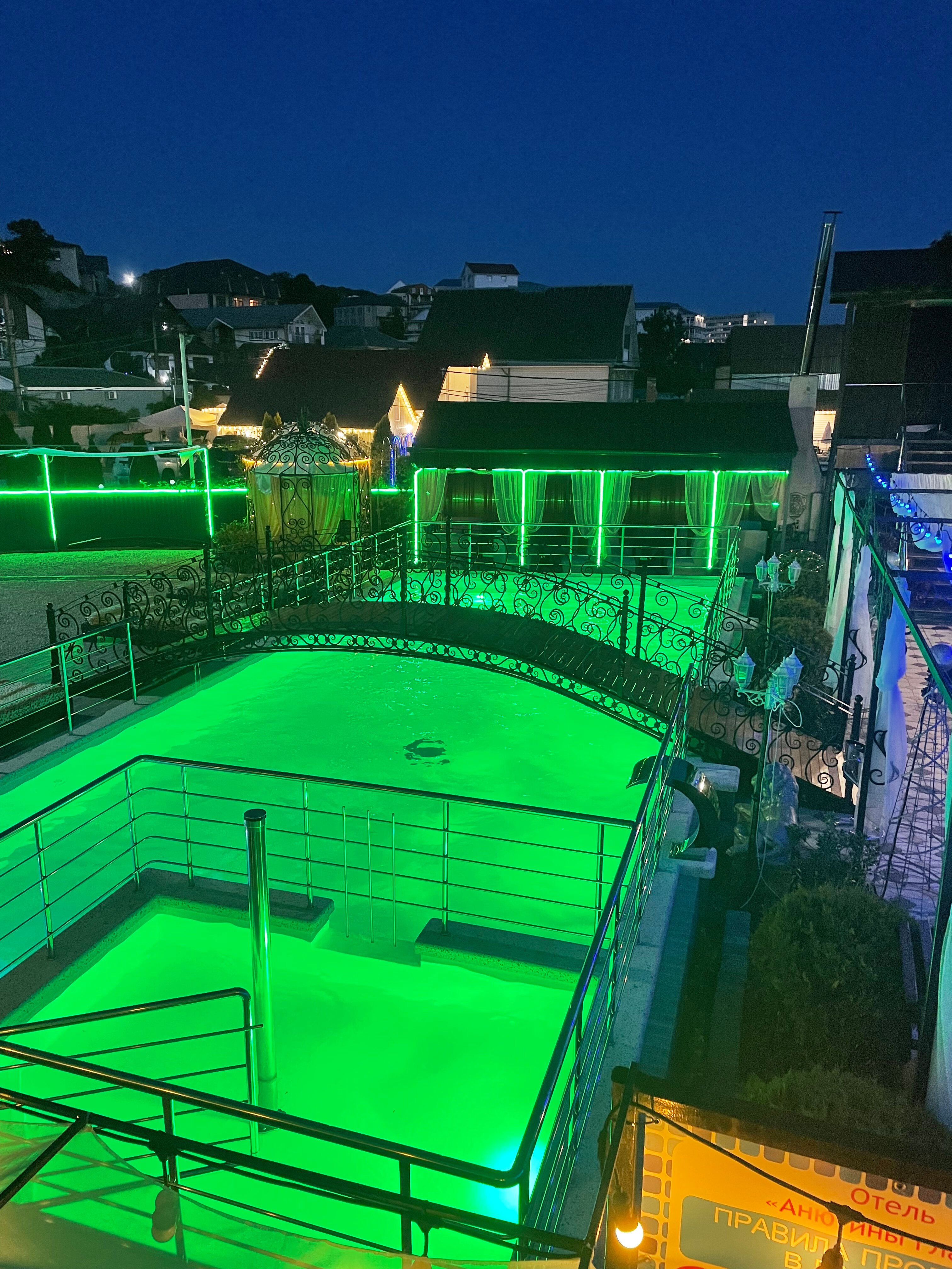 Фото Анютины Глазки