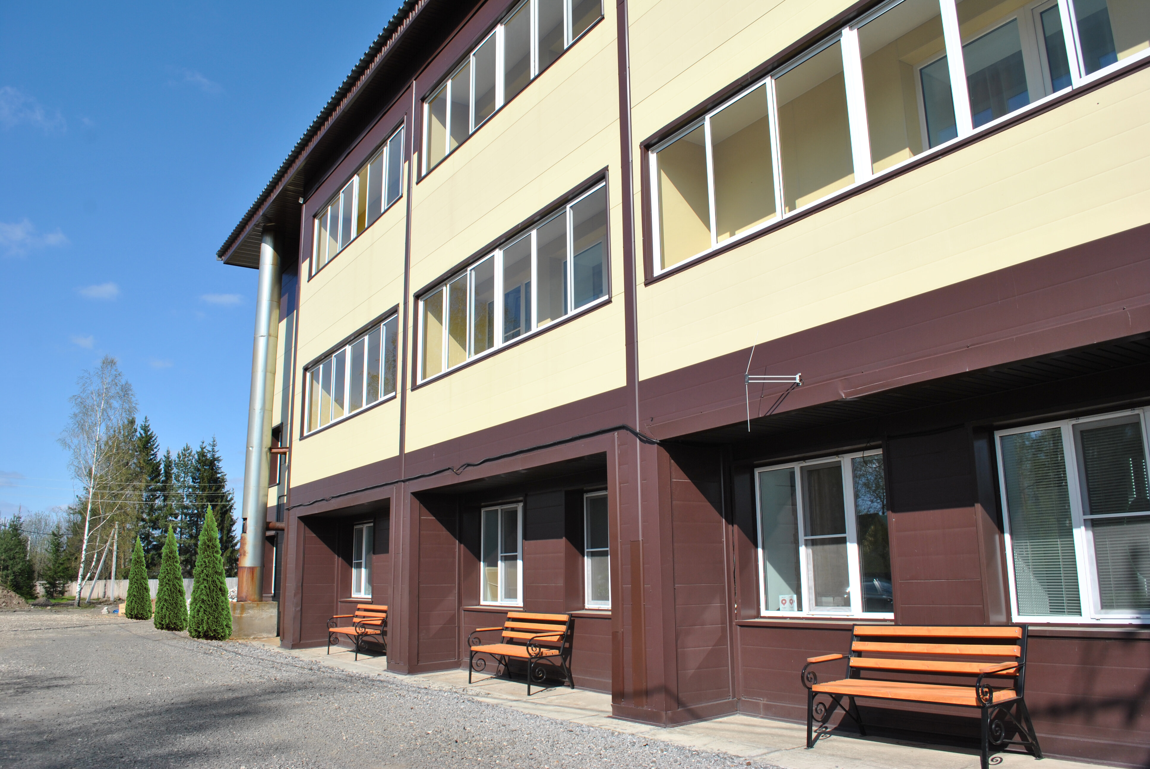 Фото Две берёзки