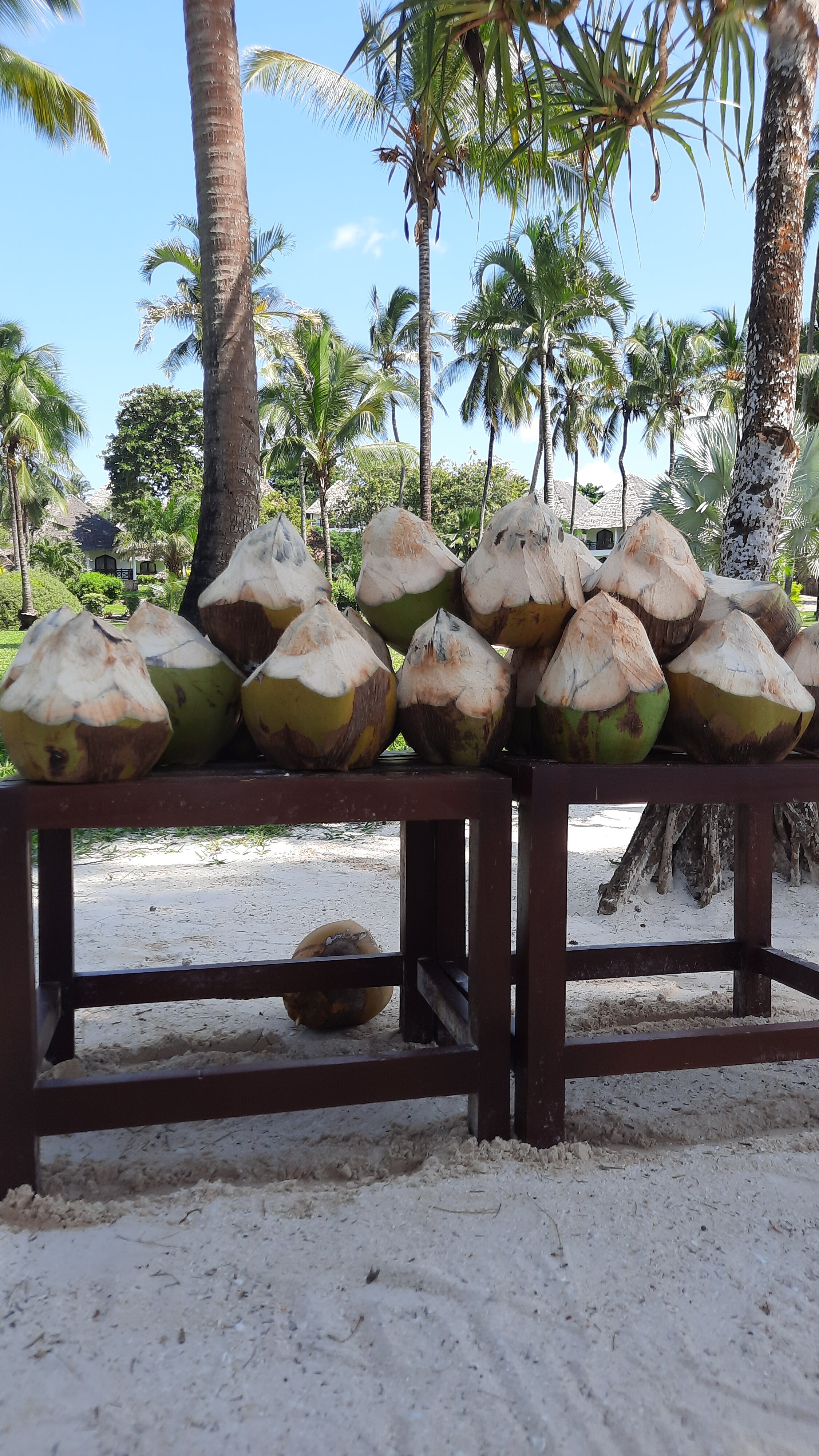 Фото Bluebay Beach Resort & SPA