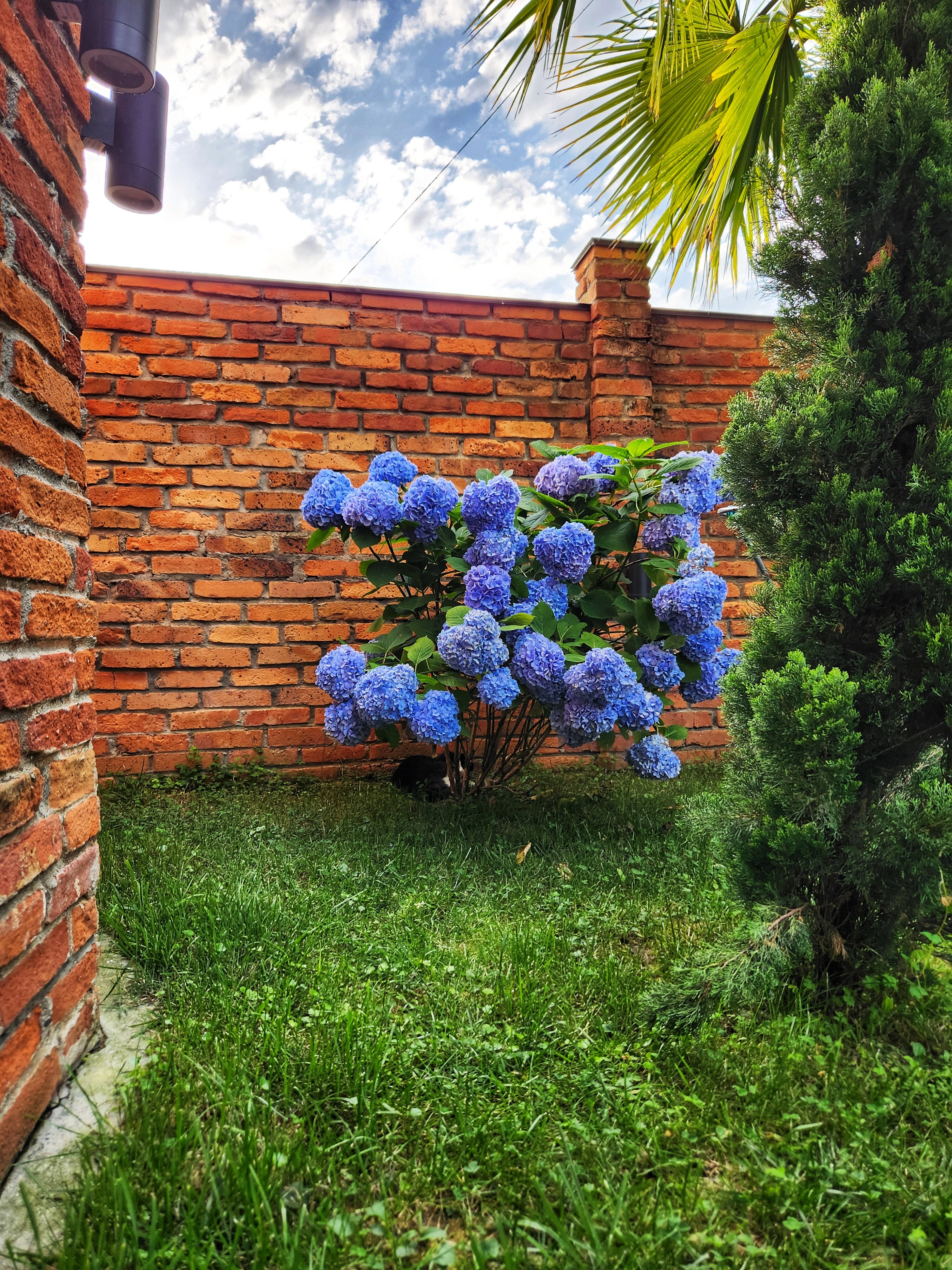 Фото Лофт Гарден