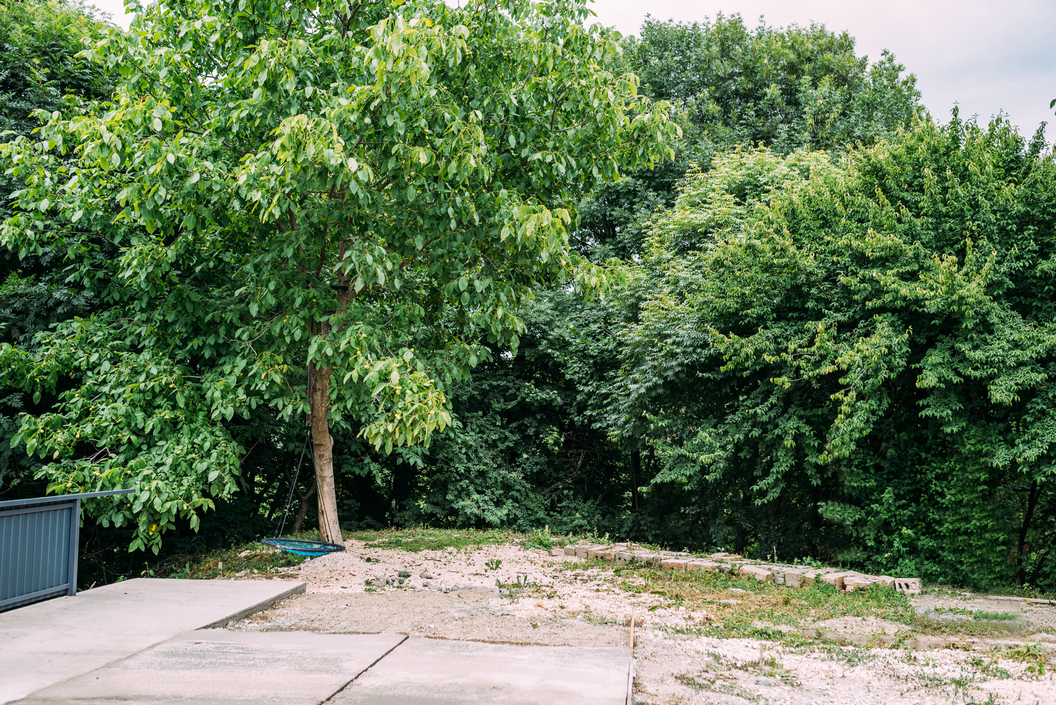 Фото Камменка