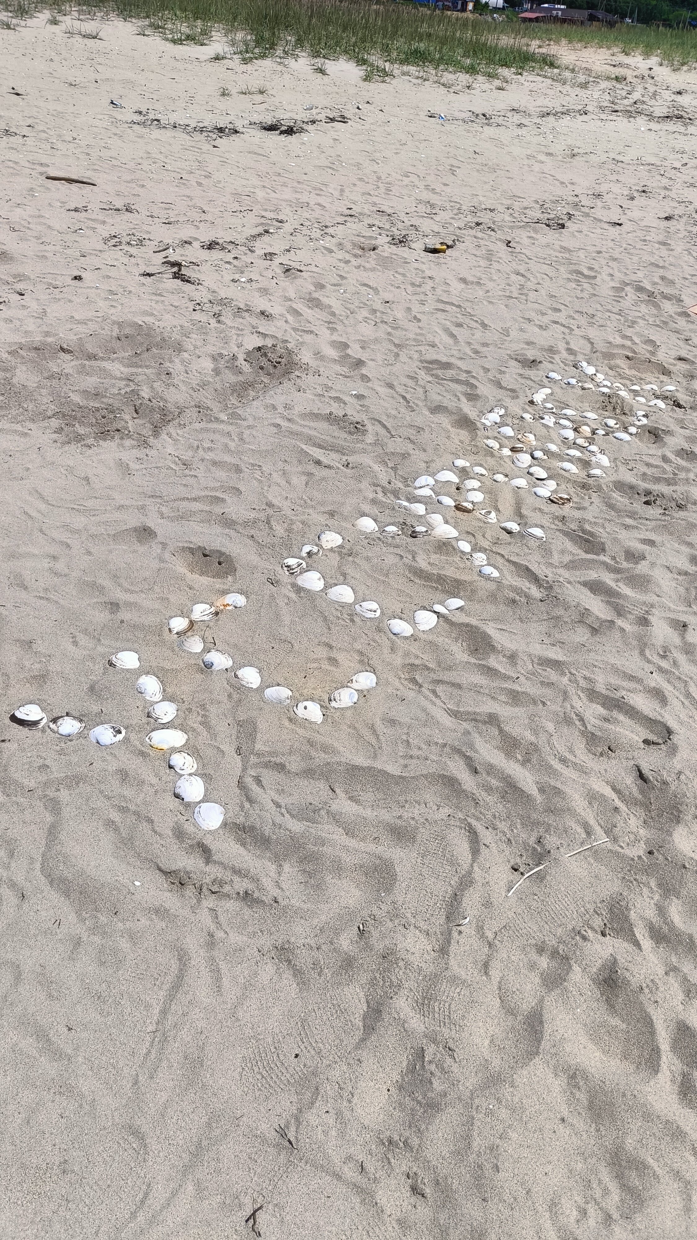 Фото Мелодия моря