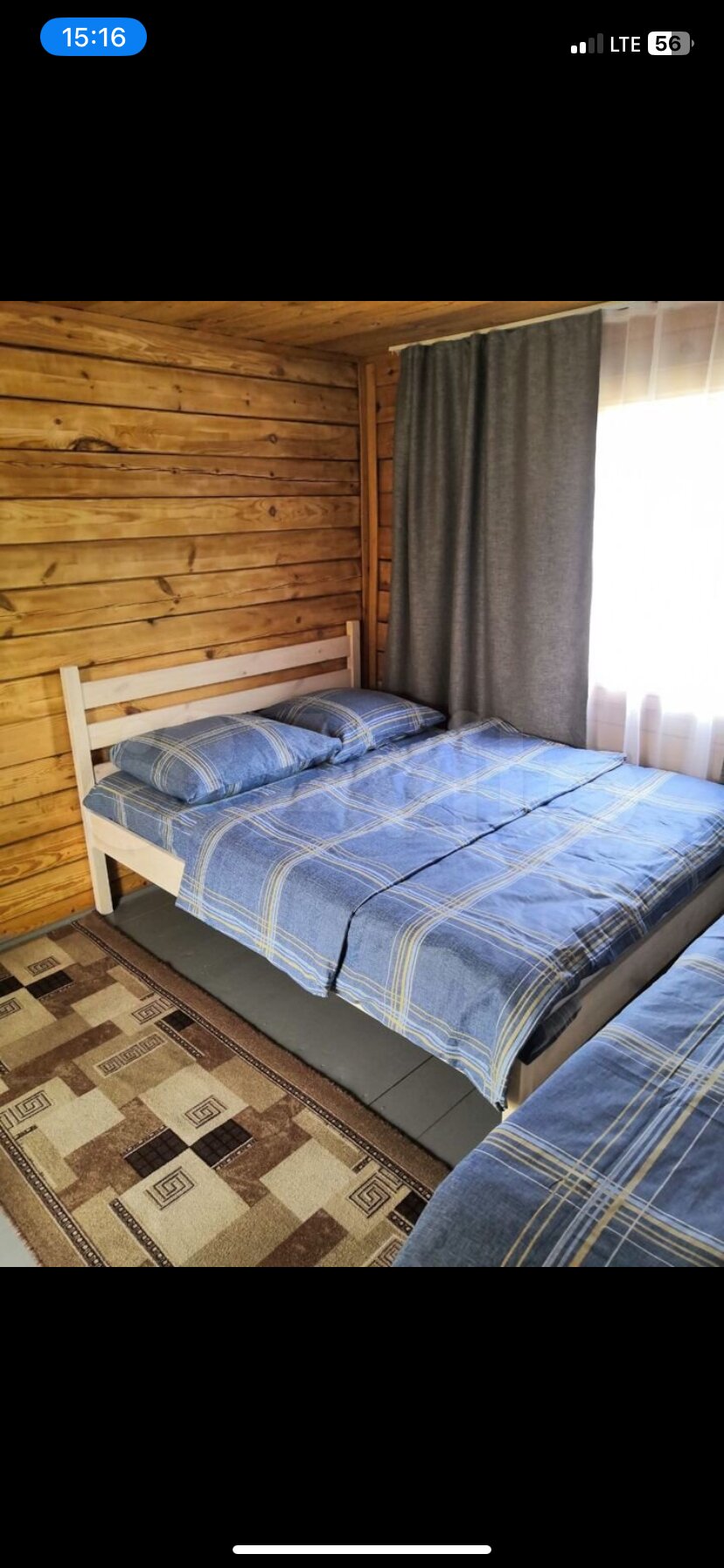 Фото Ель и кедр