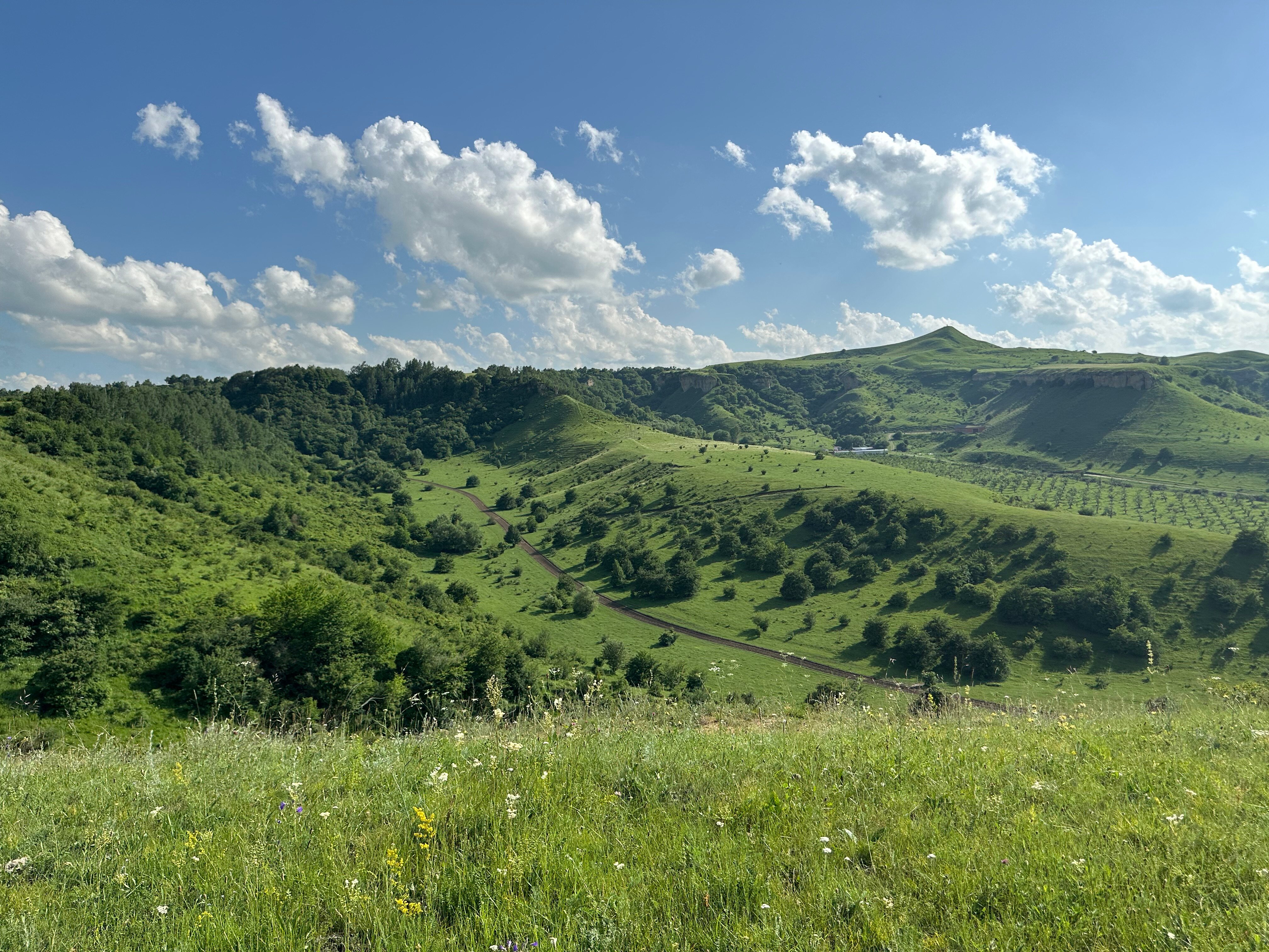 Фото Kavkaz House