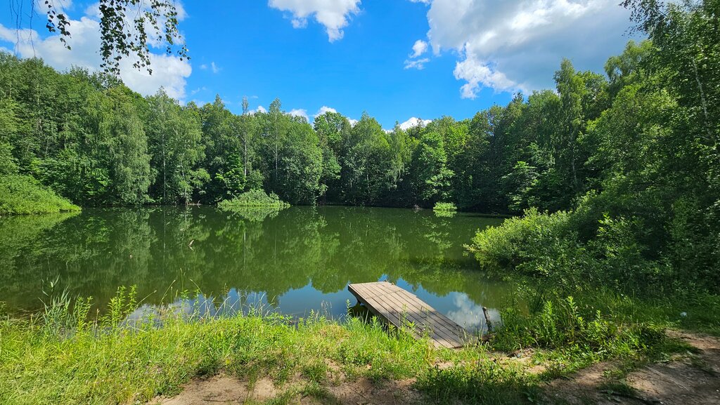 Nature reserve памятник природы регионального значения Карстовая воронка у деревни Ливенское, Tula, photo