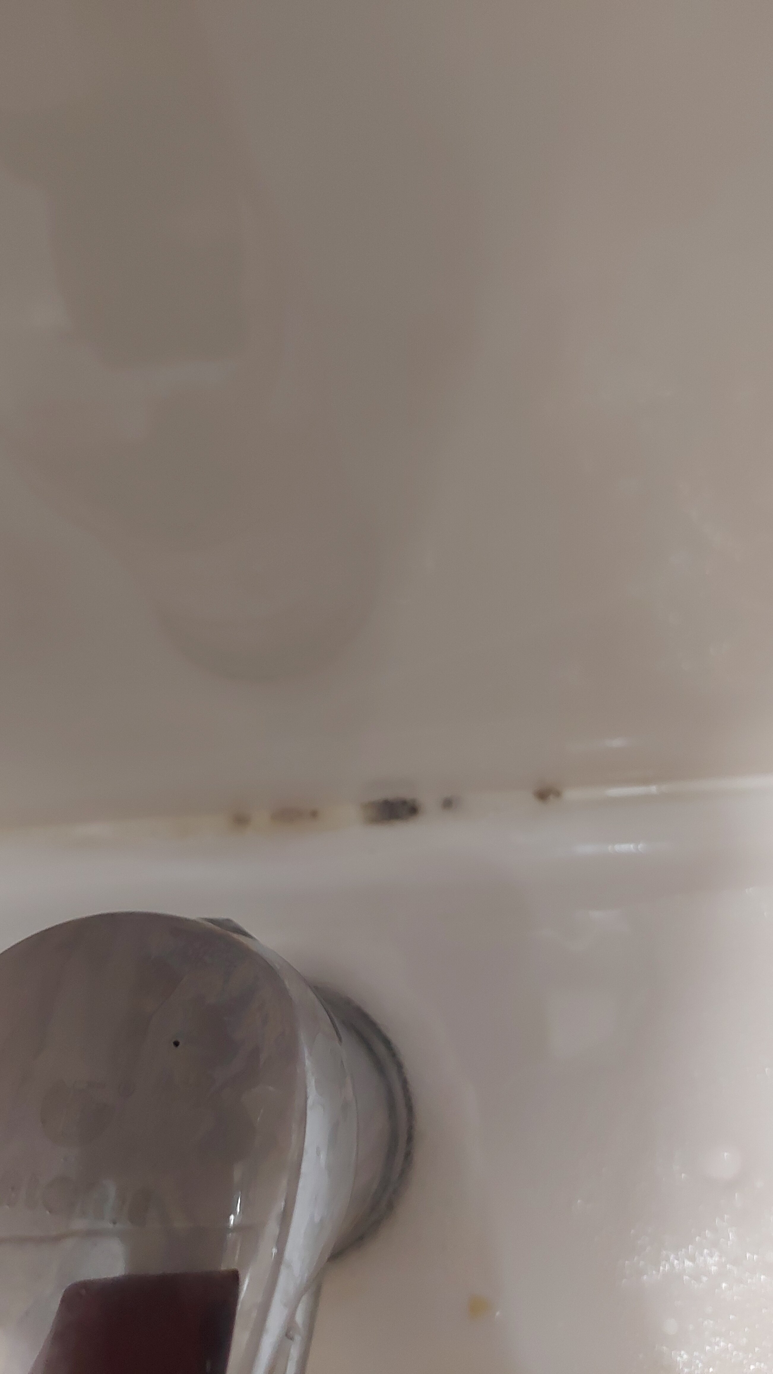 Фото Пульсар