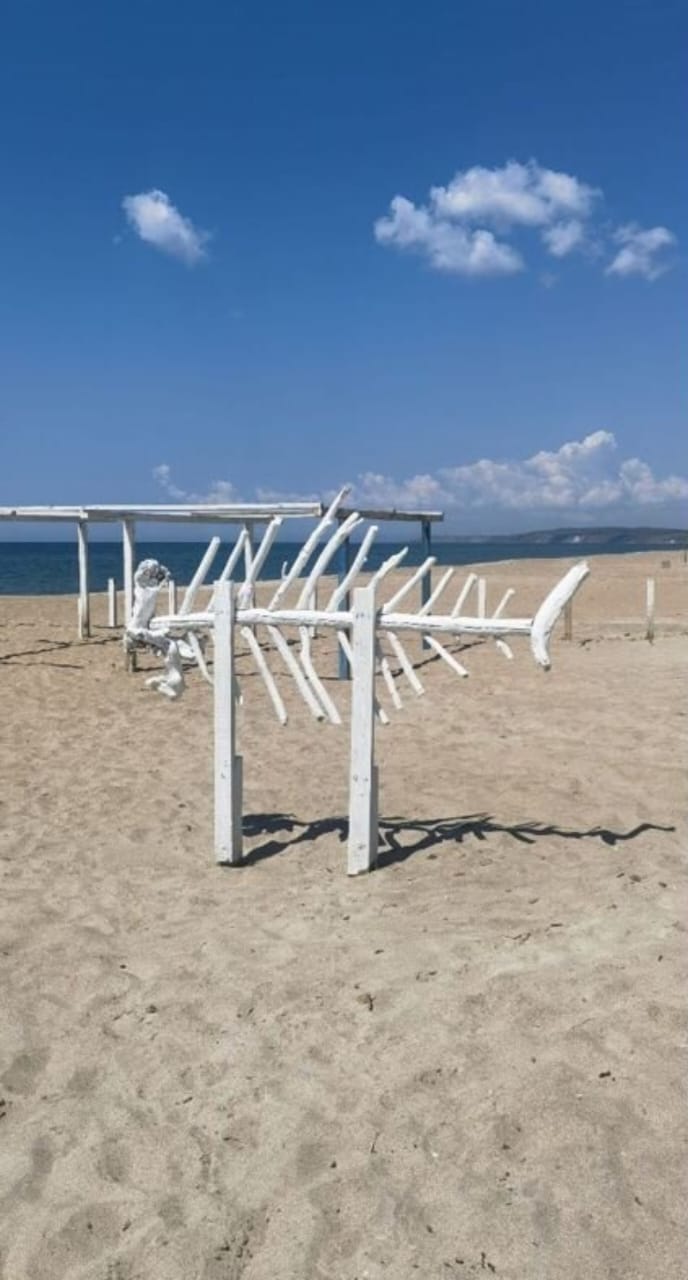 Фото Берлога