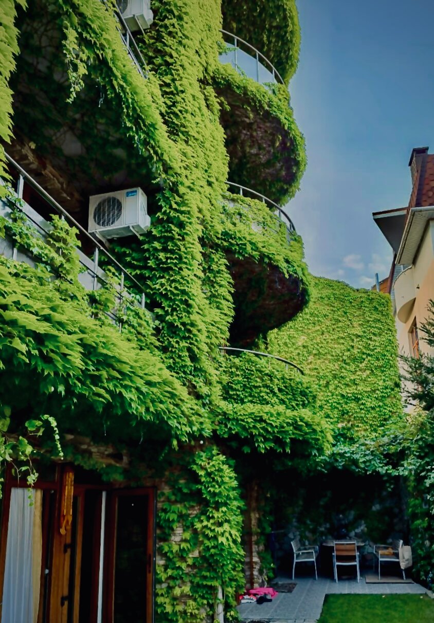 Фото Вилла Белив