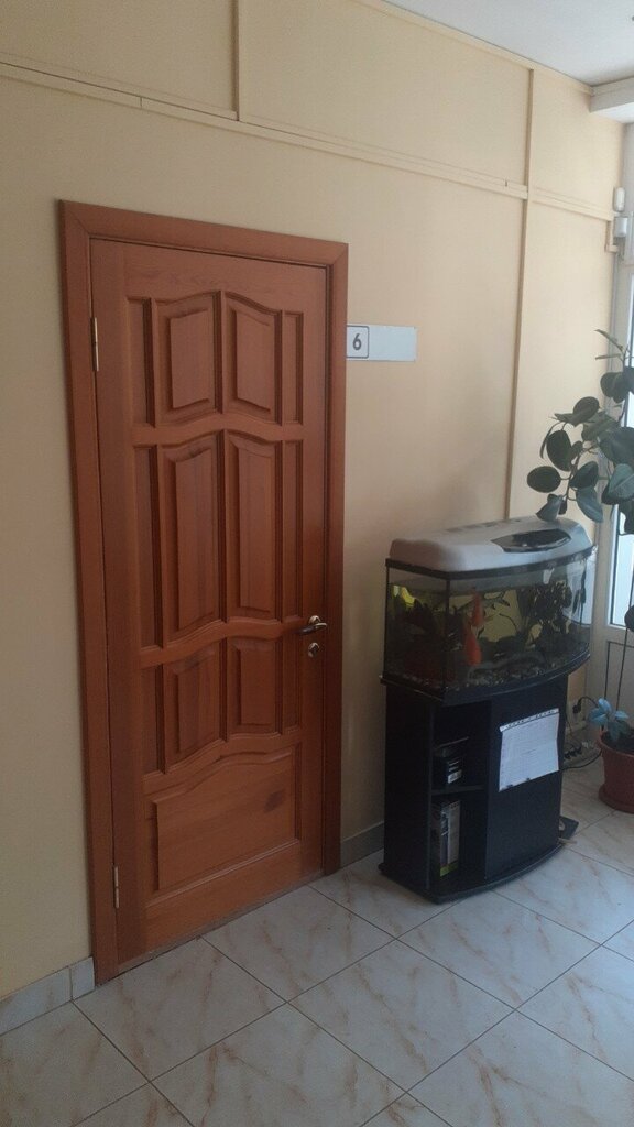 Security company Cobra Garant, Tula, photo