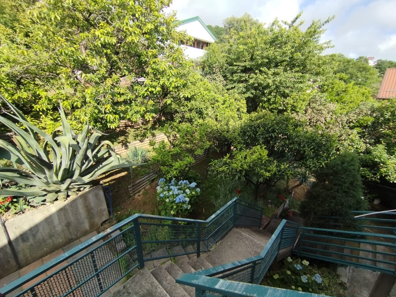 Фото У Артема и Сусанны