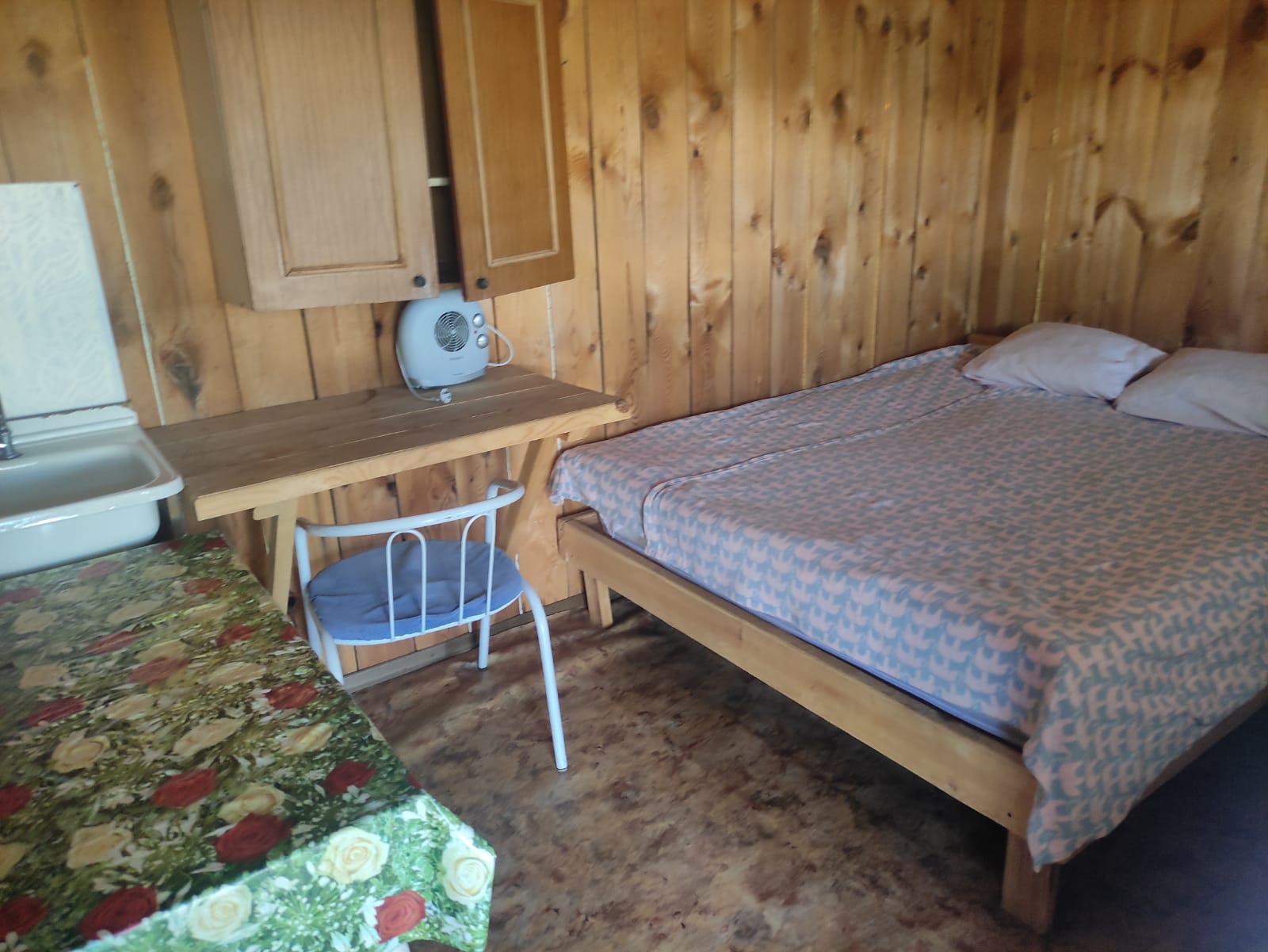 Фото Холодок