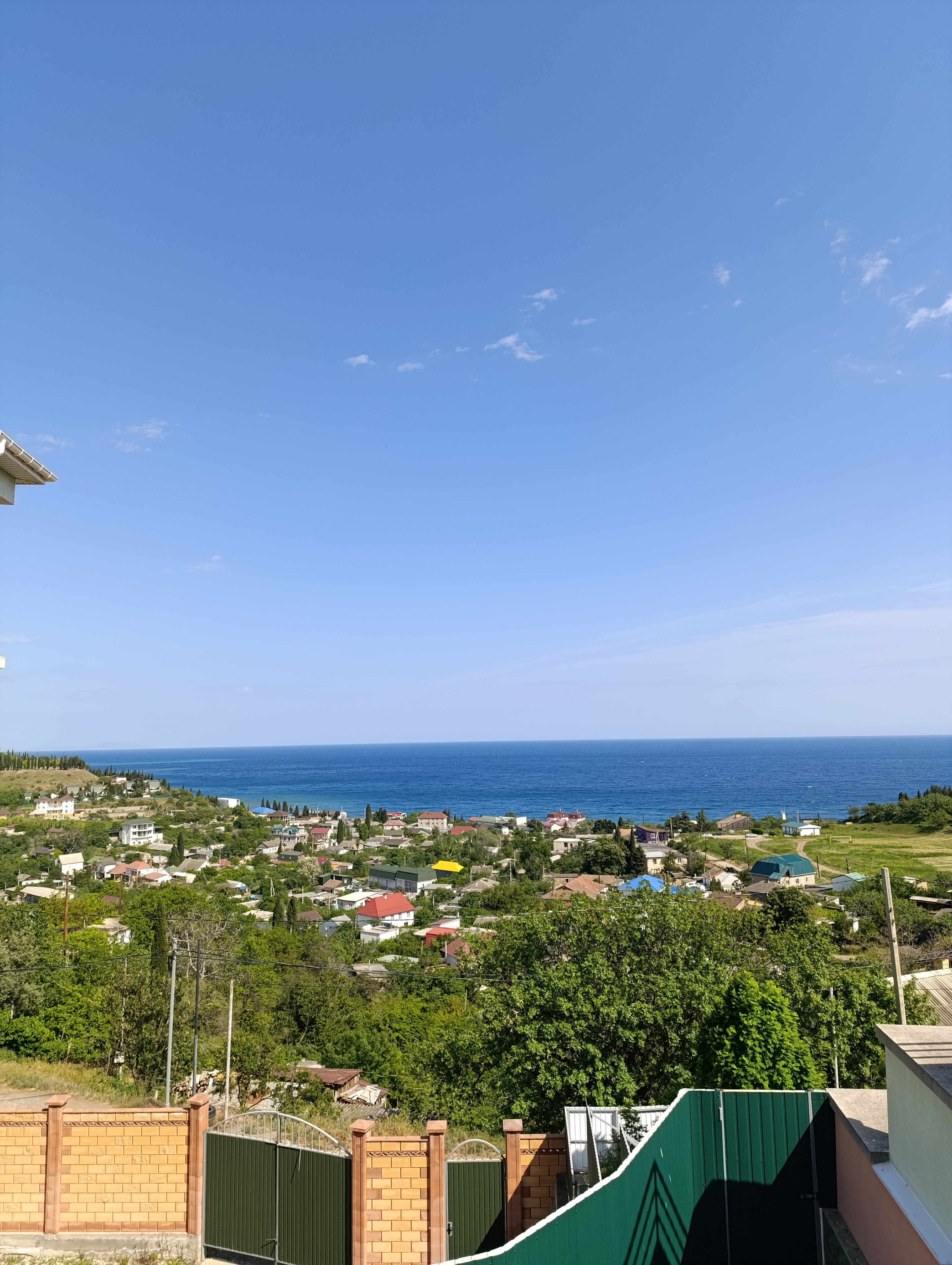 Фото Дельфин