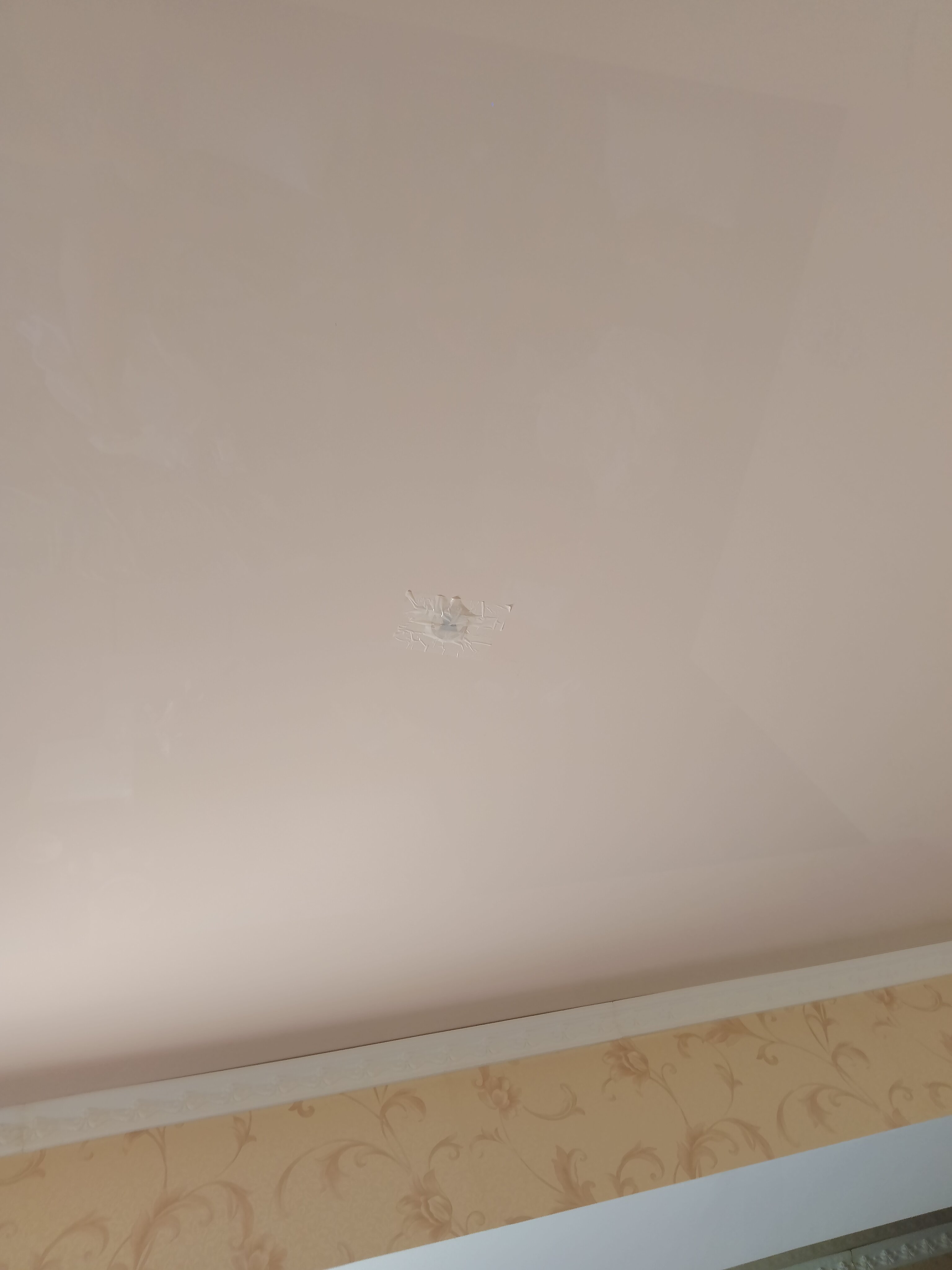 Фото Каникулы