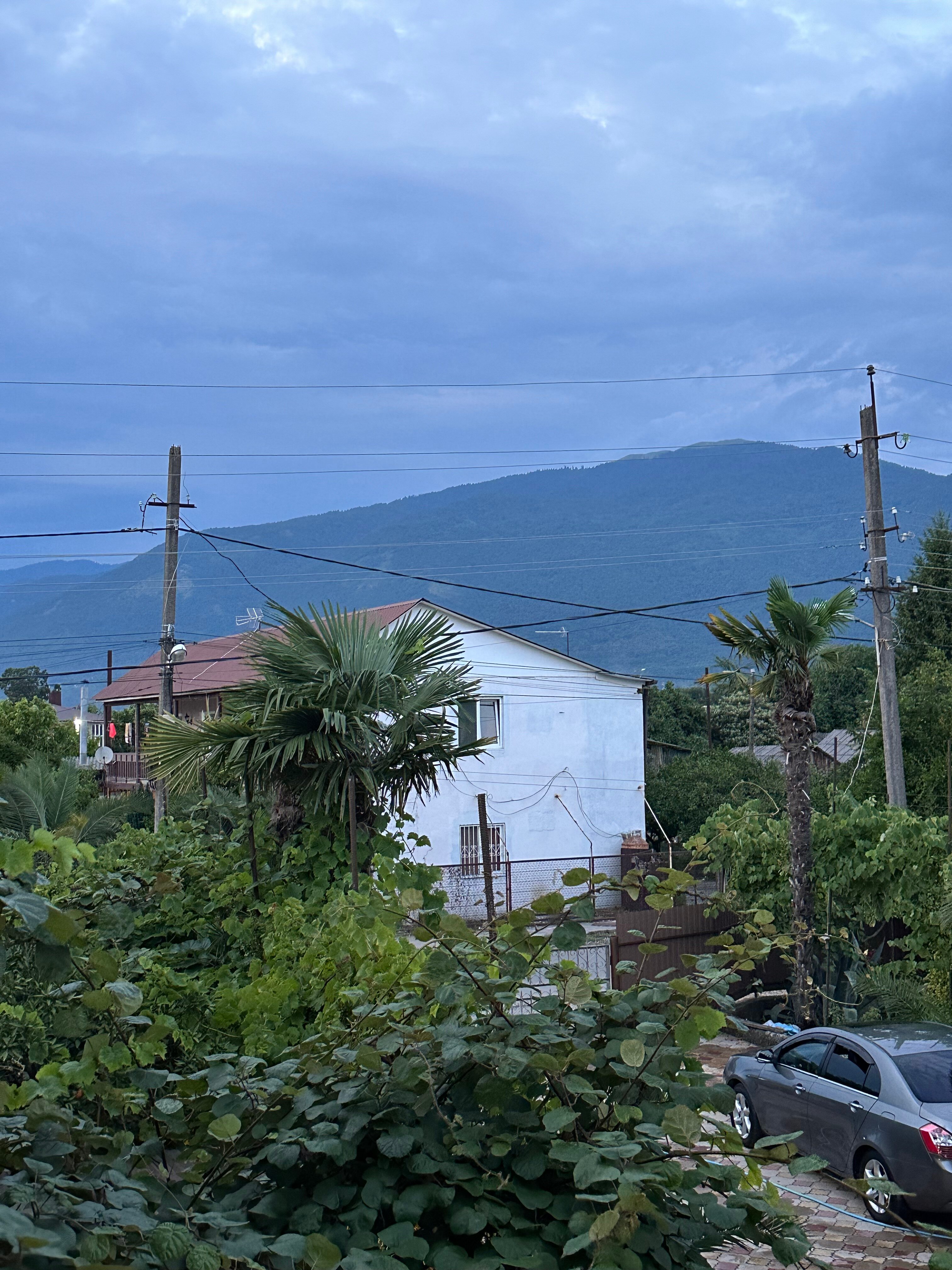 Фото 237534356219