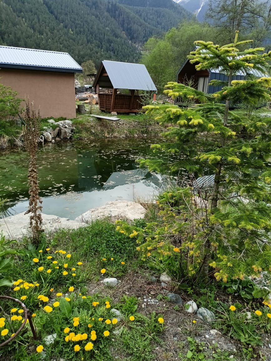 Фото Домик у озера