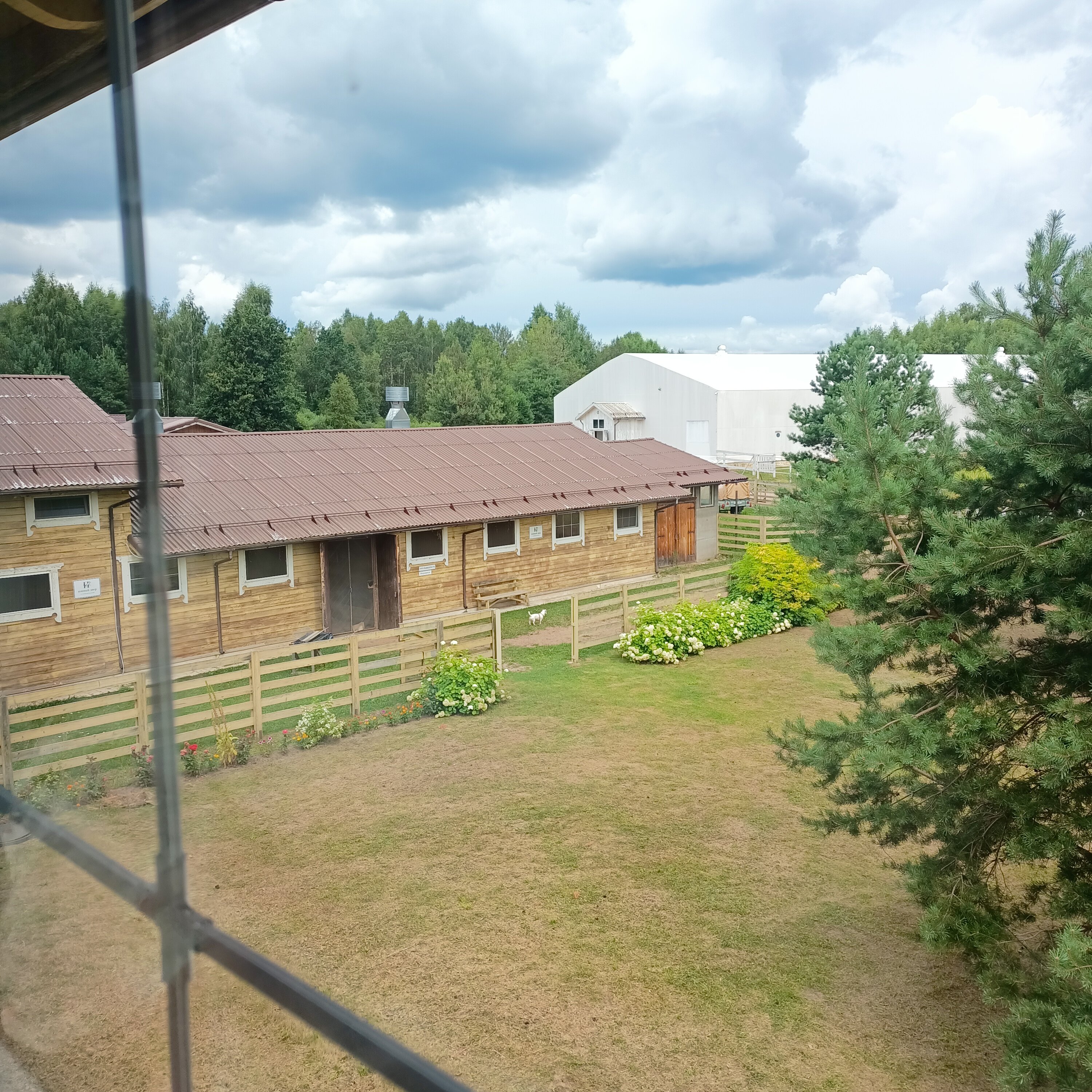 Фото Конный Двор