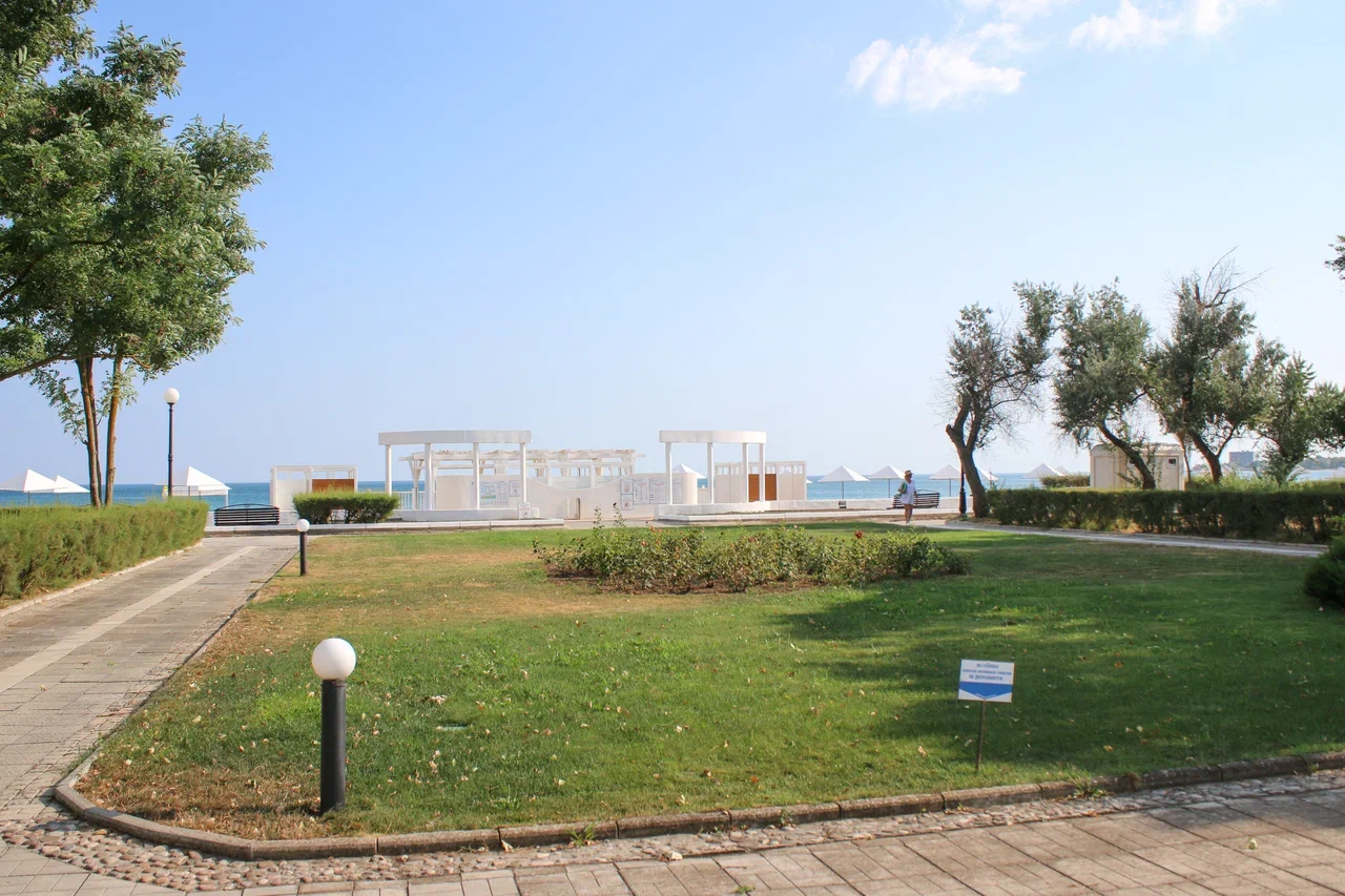 Фото Возрождение