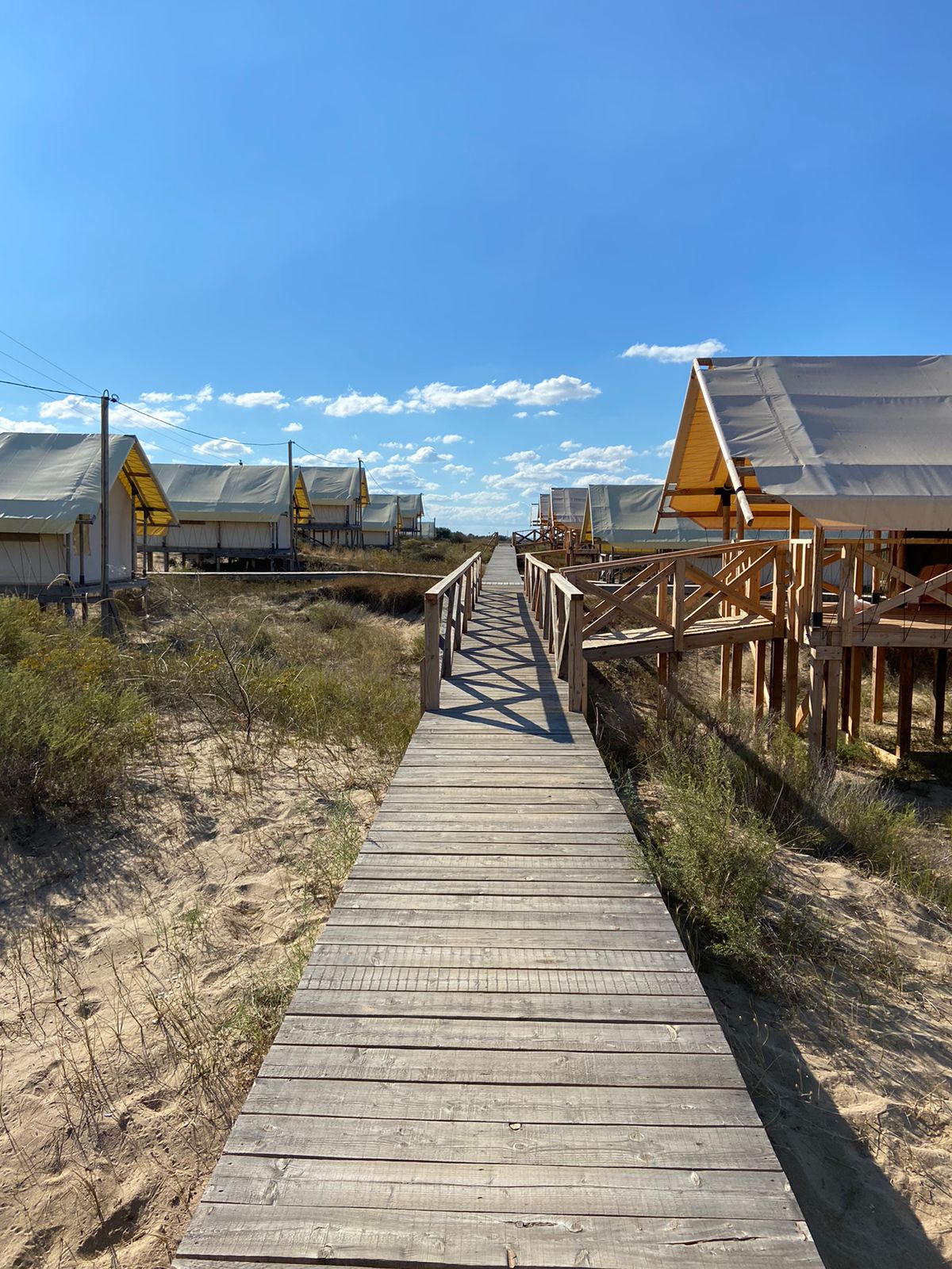 Фото Альфа дом