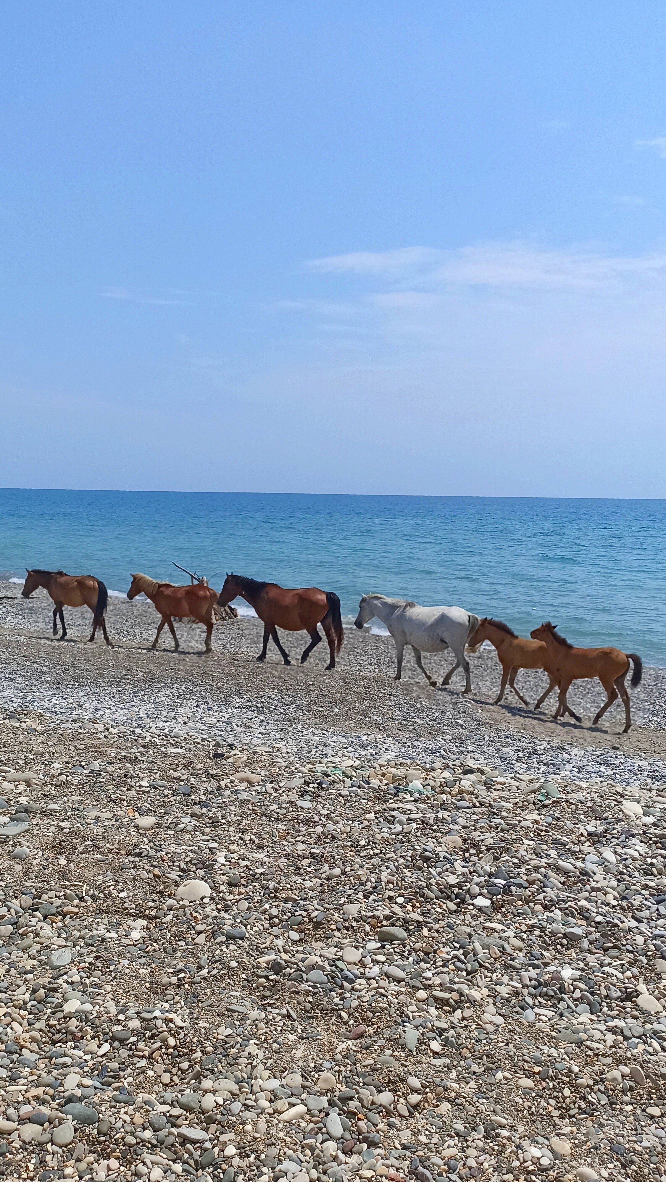 Фото Вилла Приморское