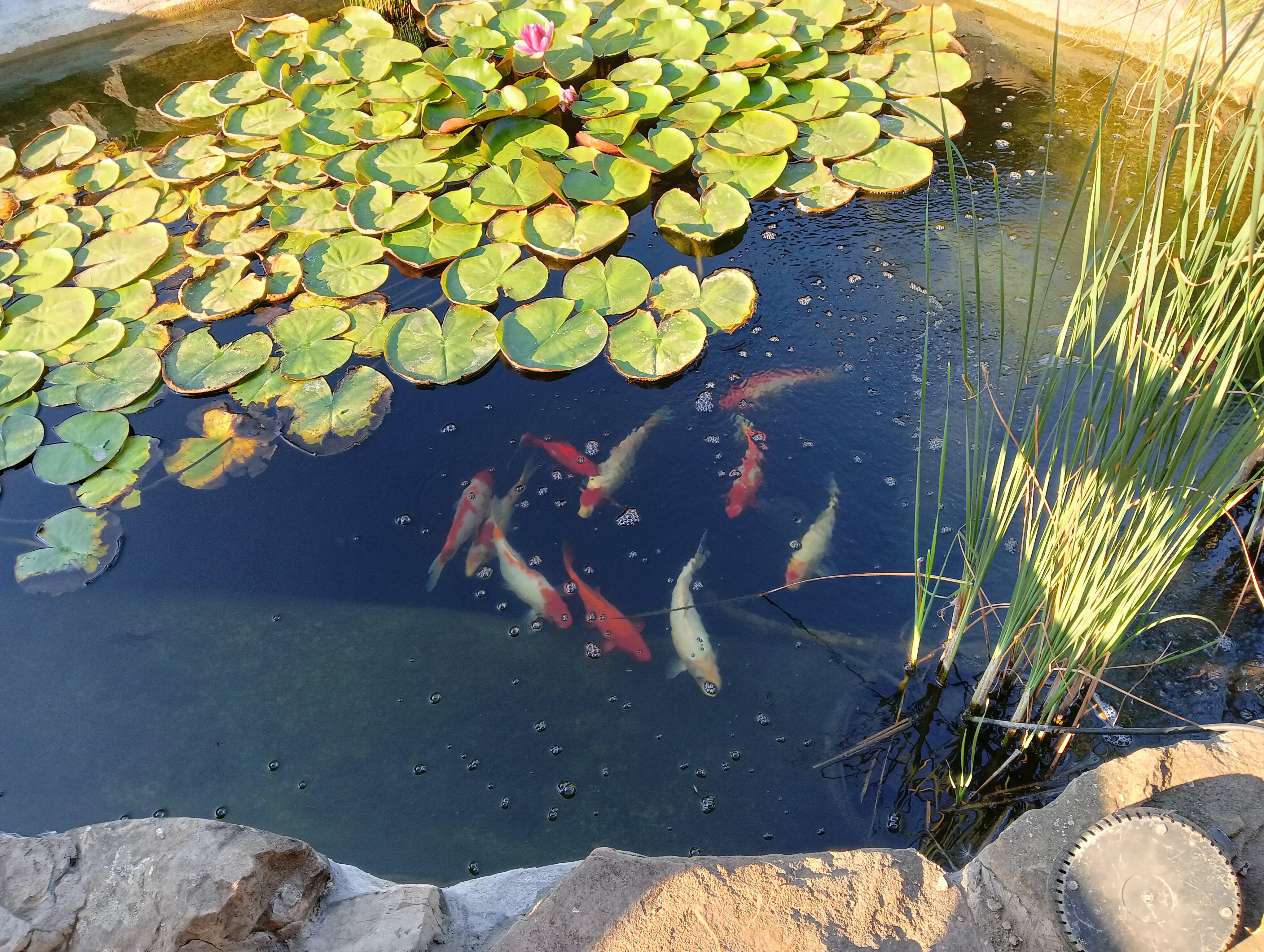 Фото Зеленая усадьба